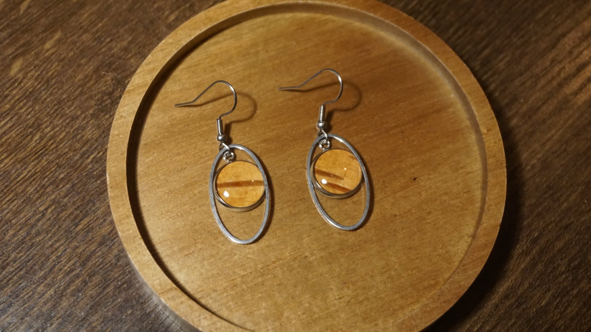 Alaska Birch Bark Silver Circle Dangle