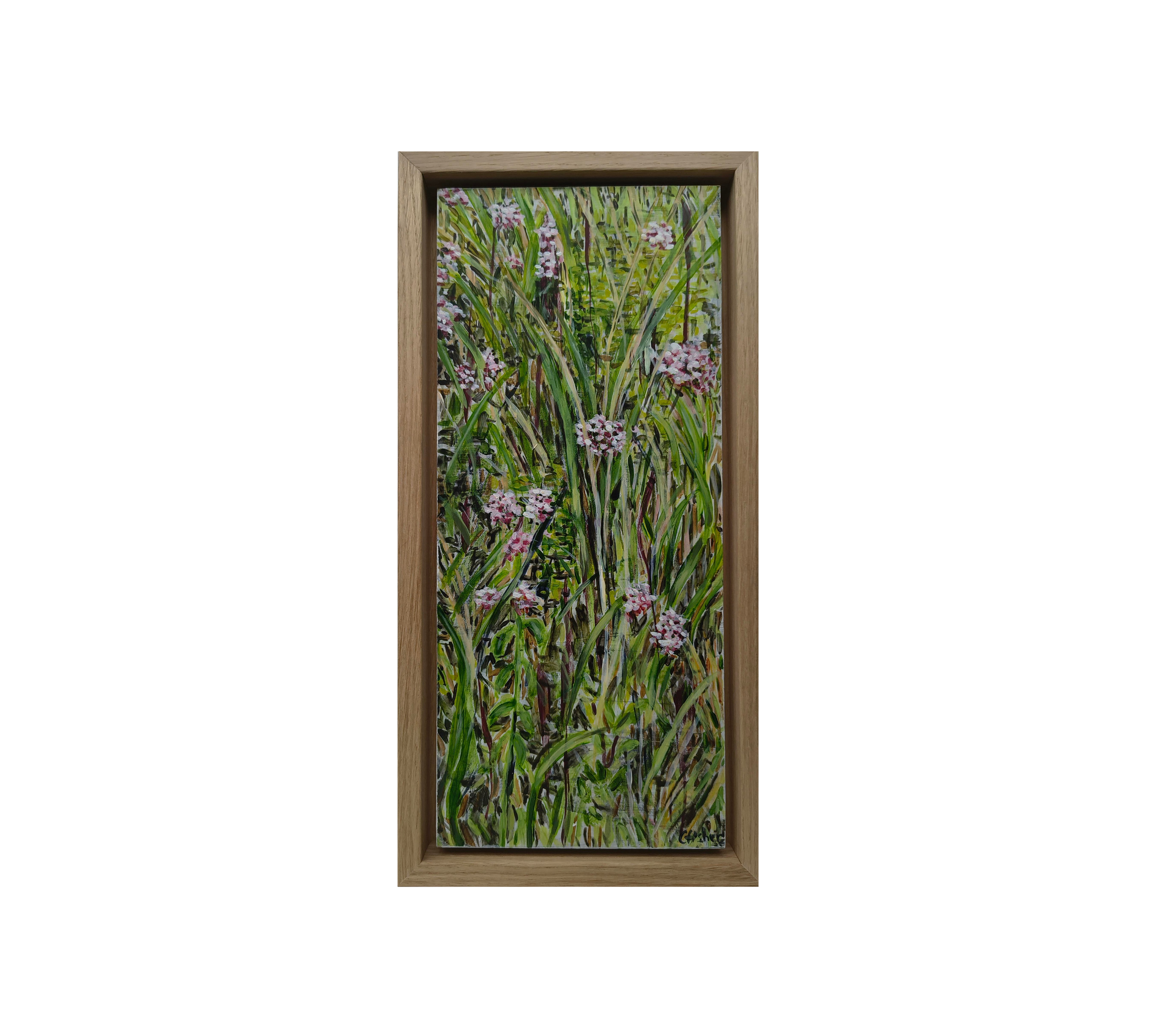 Wild Oregano Bradwell Moor Portrait