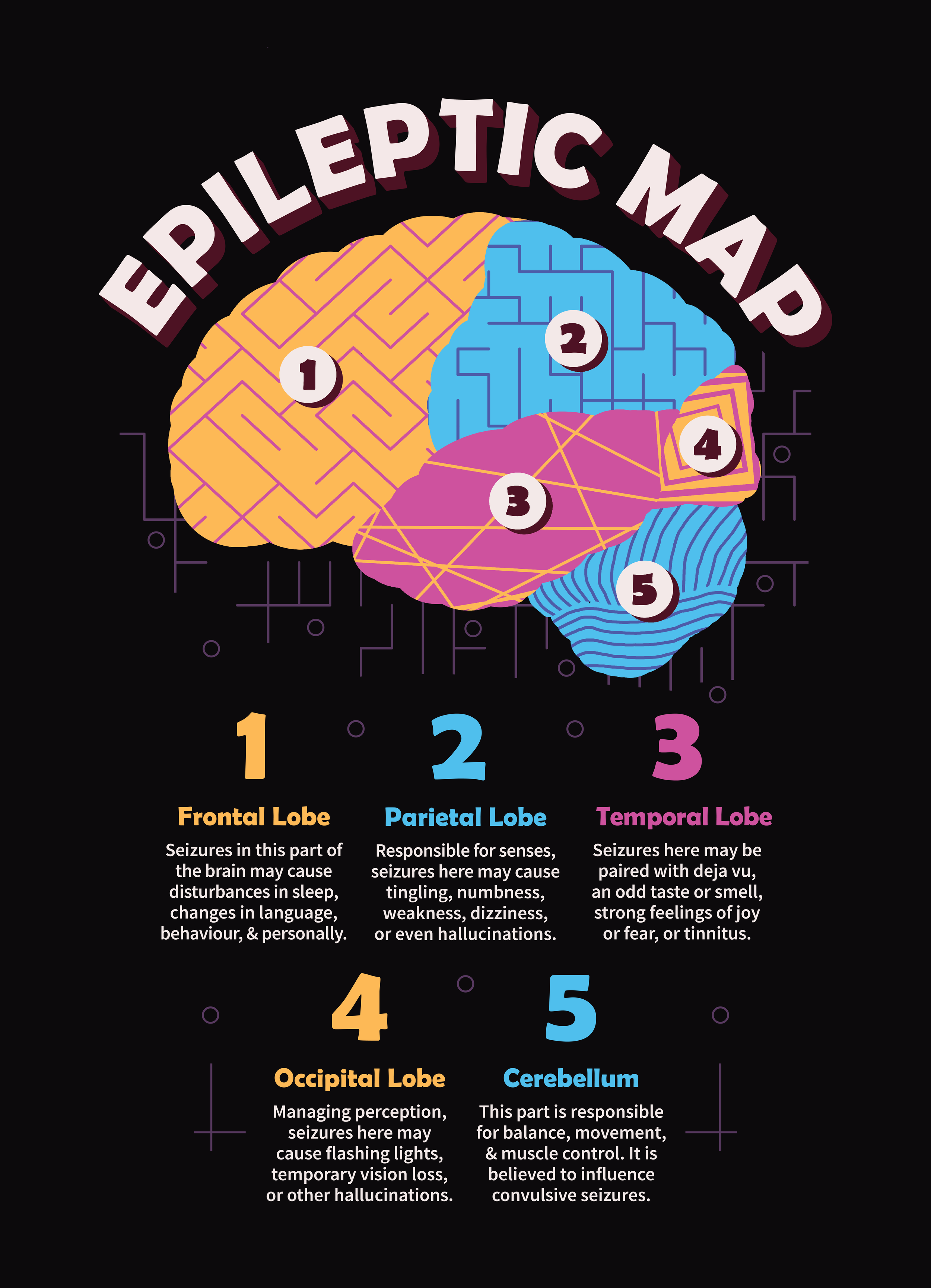 Diagram of the human brain divided into five sections, each labeled with a number and color, with descriptions of their functions related to epilepsy and seizures.