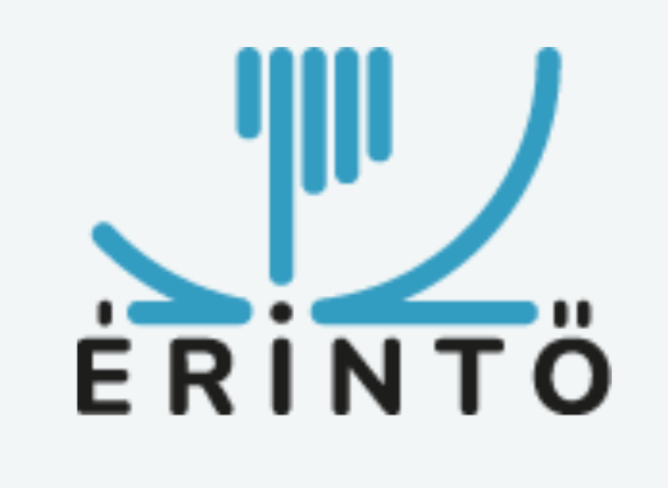Logo with stylized blue microchip and the word ʻÉrintőʼ underneath.
