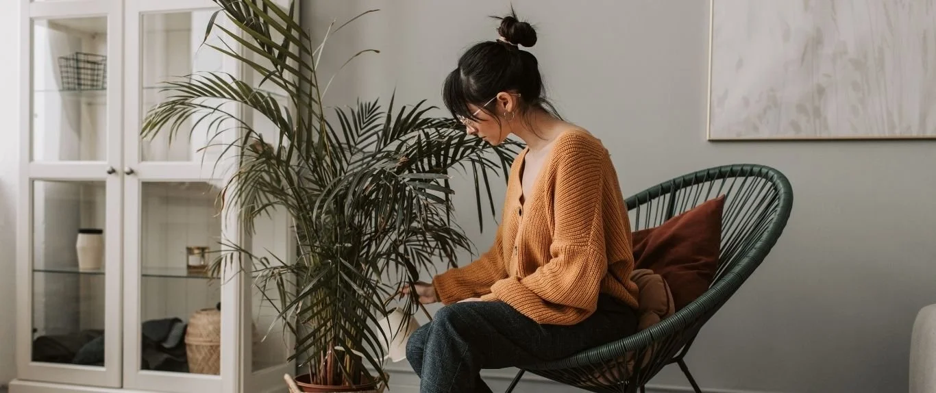 nella foto giovane donna bruna seduta su una sedia in corda annaffia una grande pianta d'appartamento in un soggiorno chiaro, simbolicamente la costanza nel nutrire un account Pinterest per risultati duraturi.