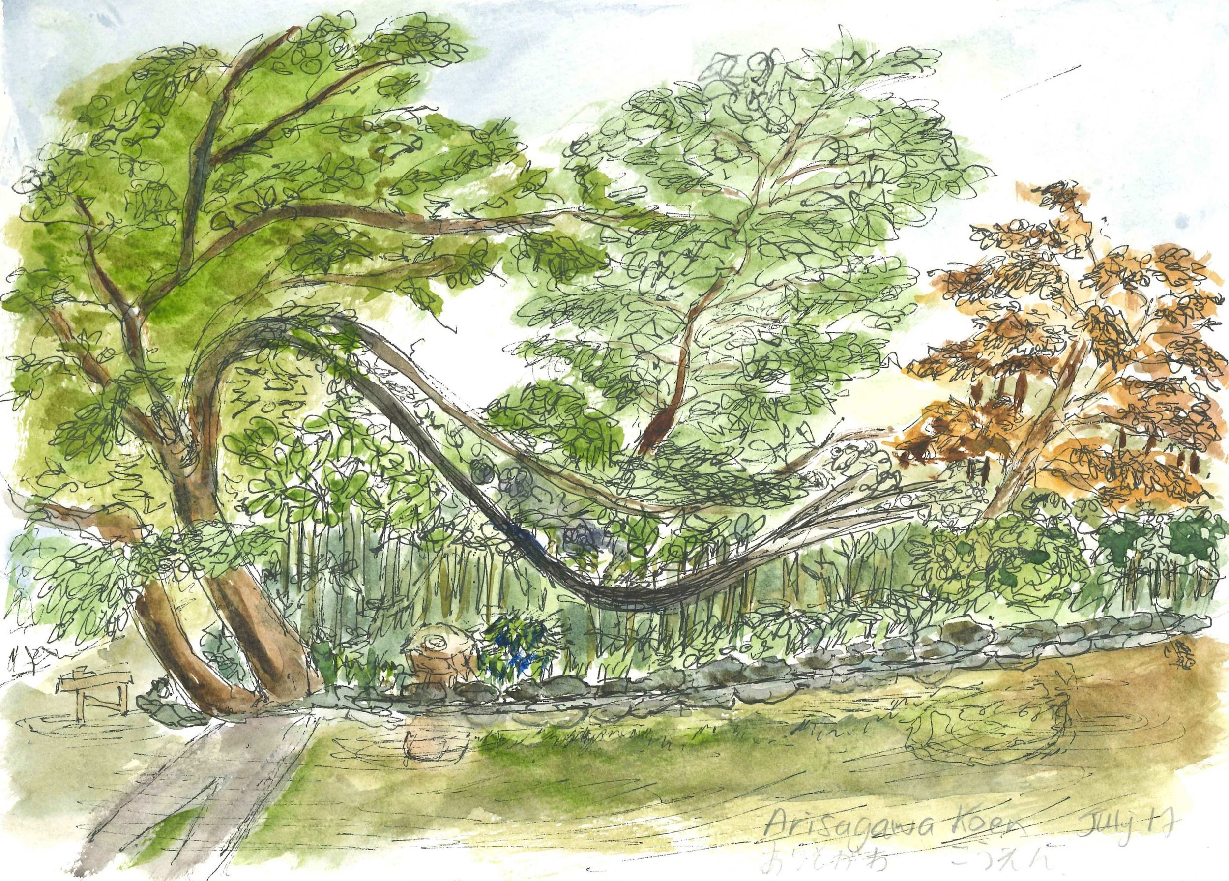 Natural Magic. Arisagawa Koen, Minato-ku, Tokyo, Japan