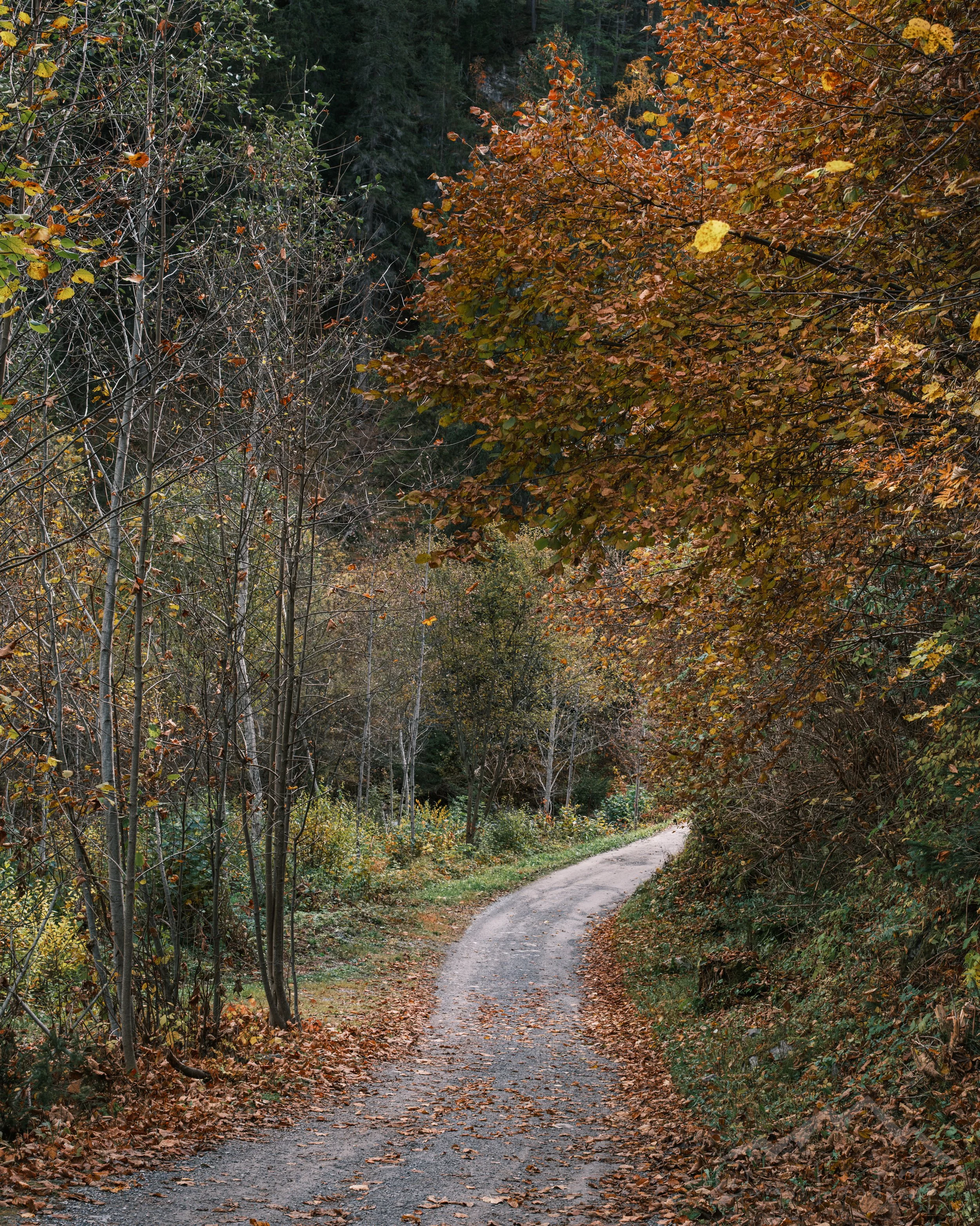DSCF4410.jpg