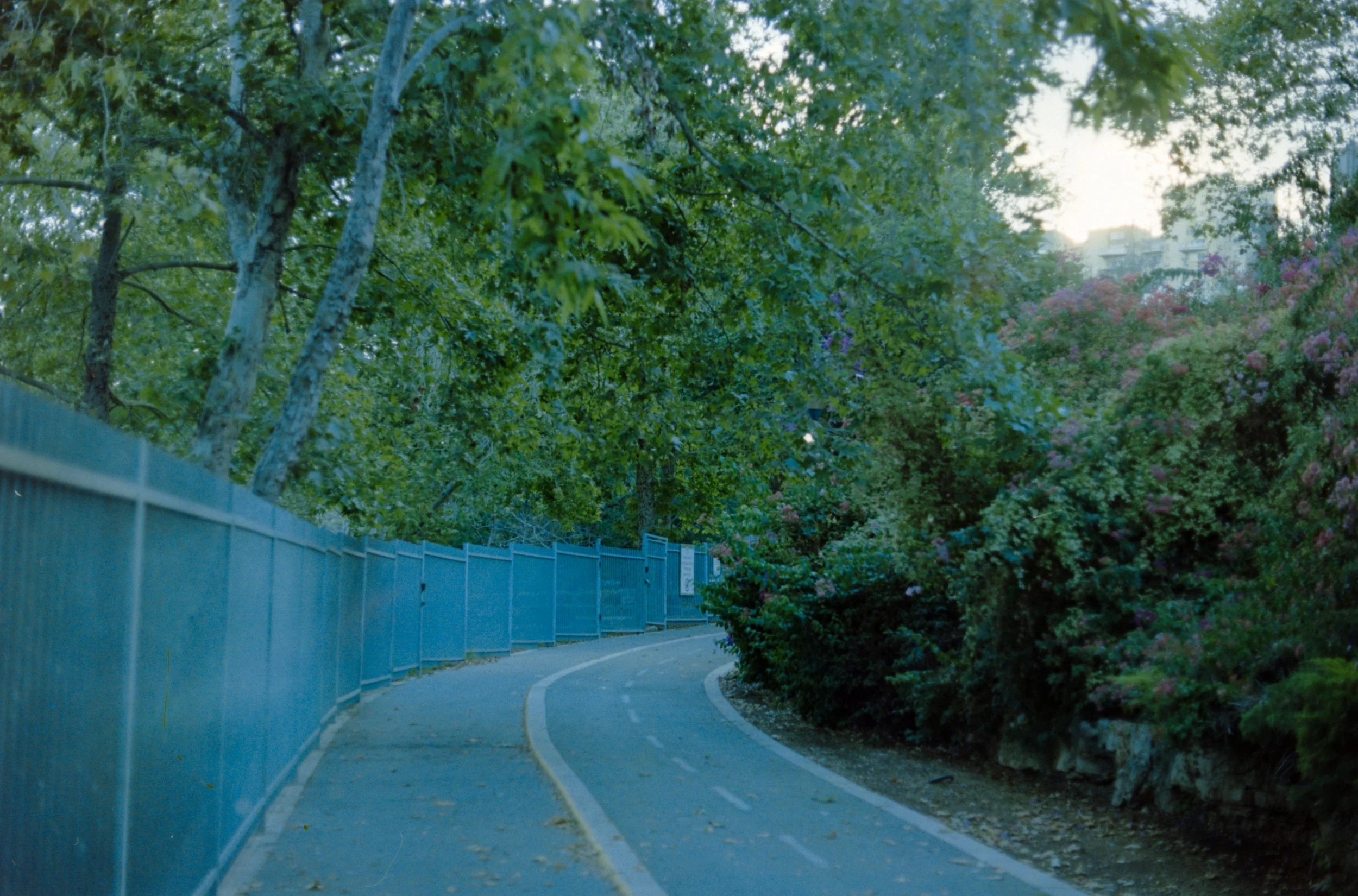 Some Park in the North, Kodak Portra 160