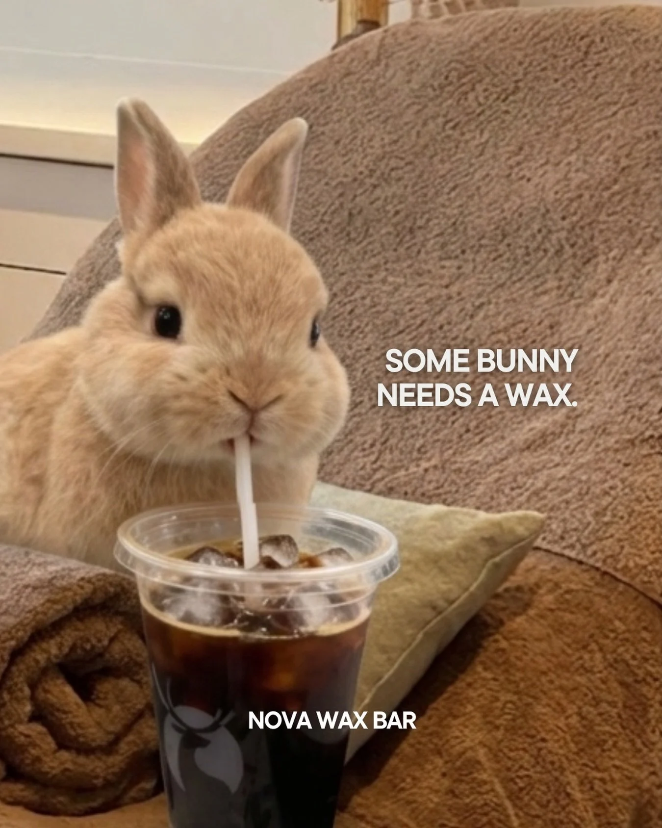 Somebunny needs a wax&hellip; but don&rsquo;t worry, we&rsquo;re not judging 🐰

Tap in and let&rsquo;s get you right.