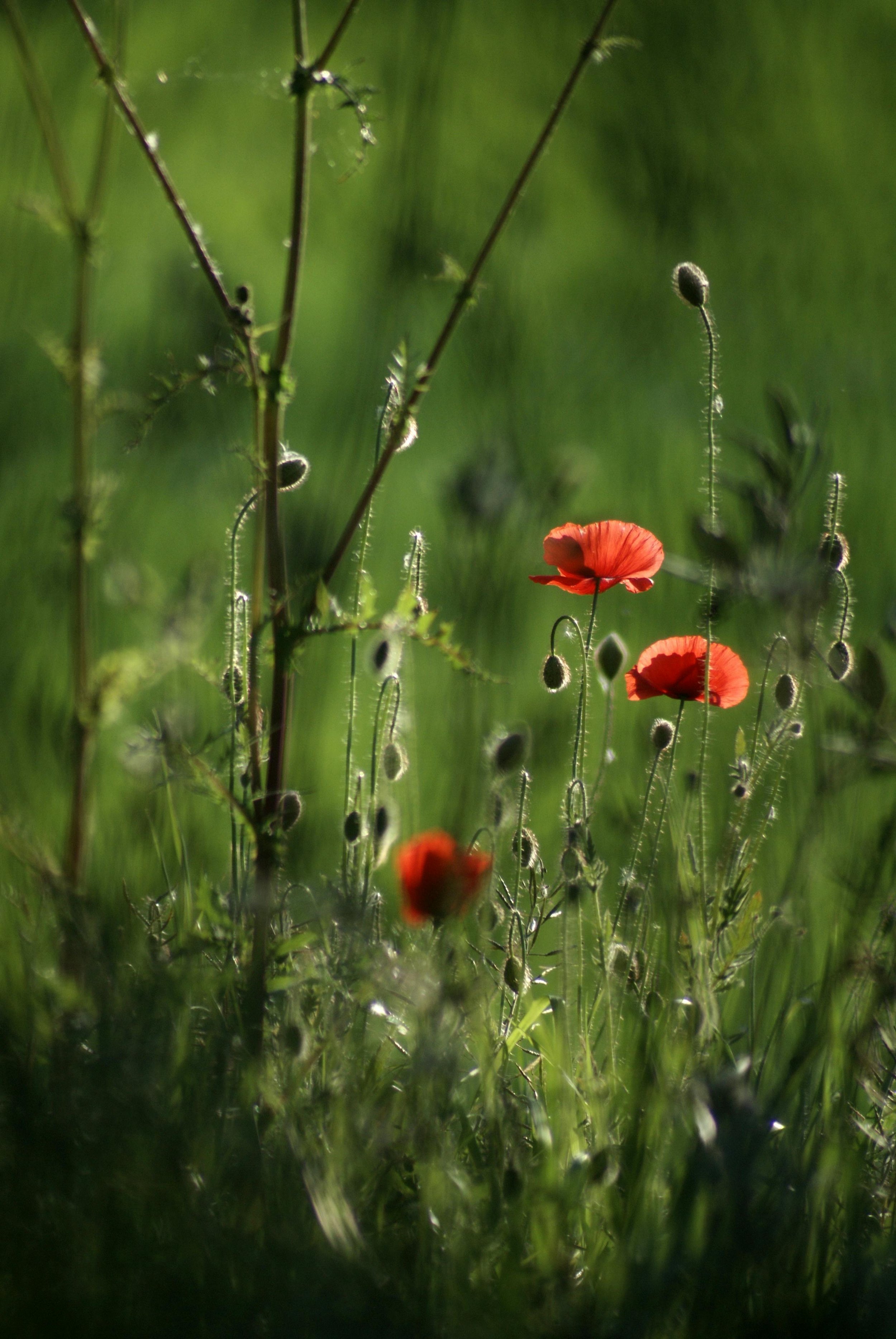 Spring is here, but you don’t feel great?