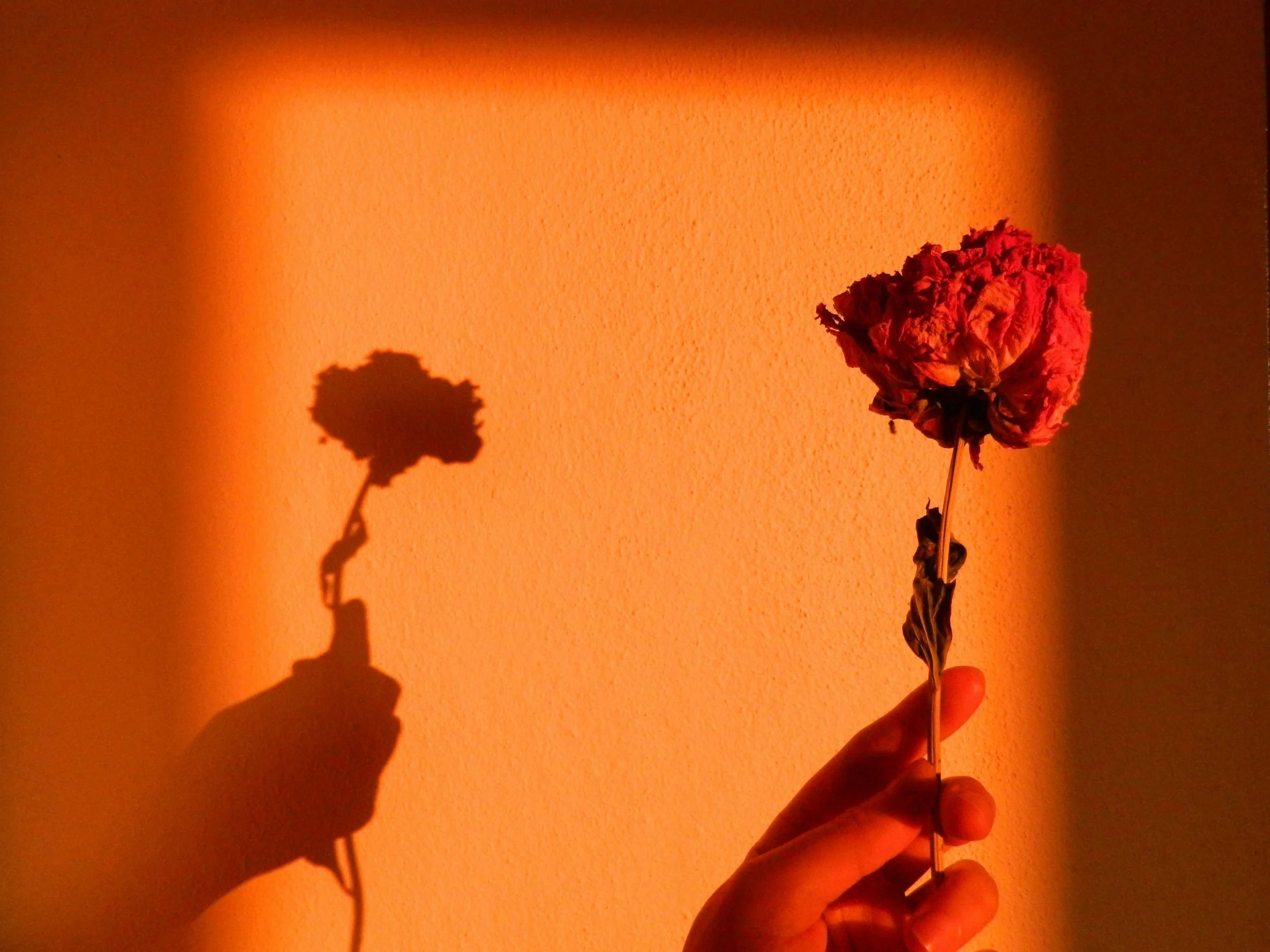 The menstrual cycle as a compass