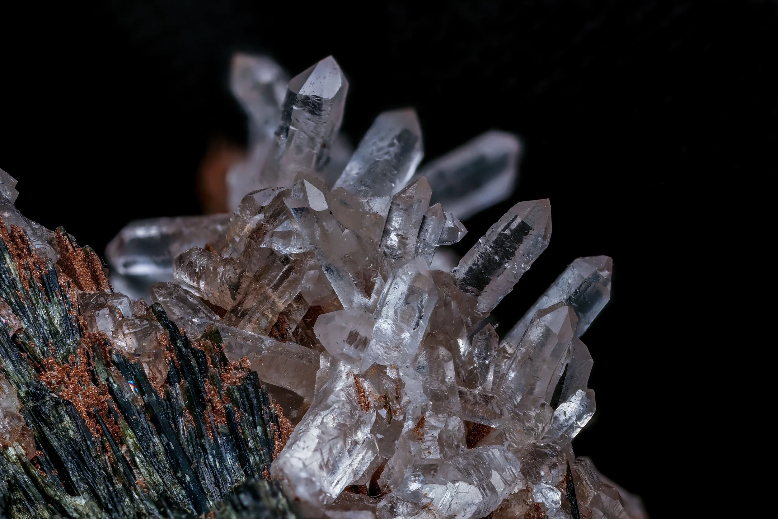 The Metal Element: Lungs, Large Intestine and letting go