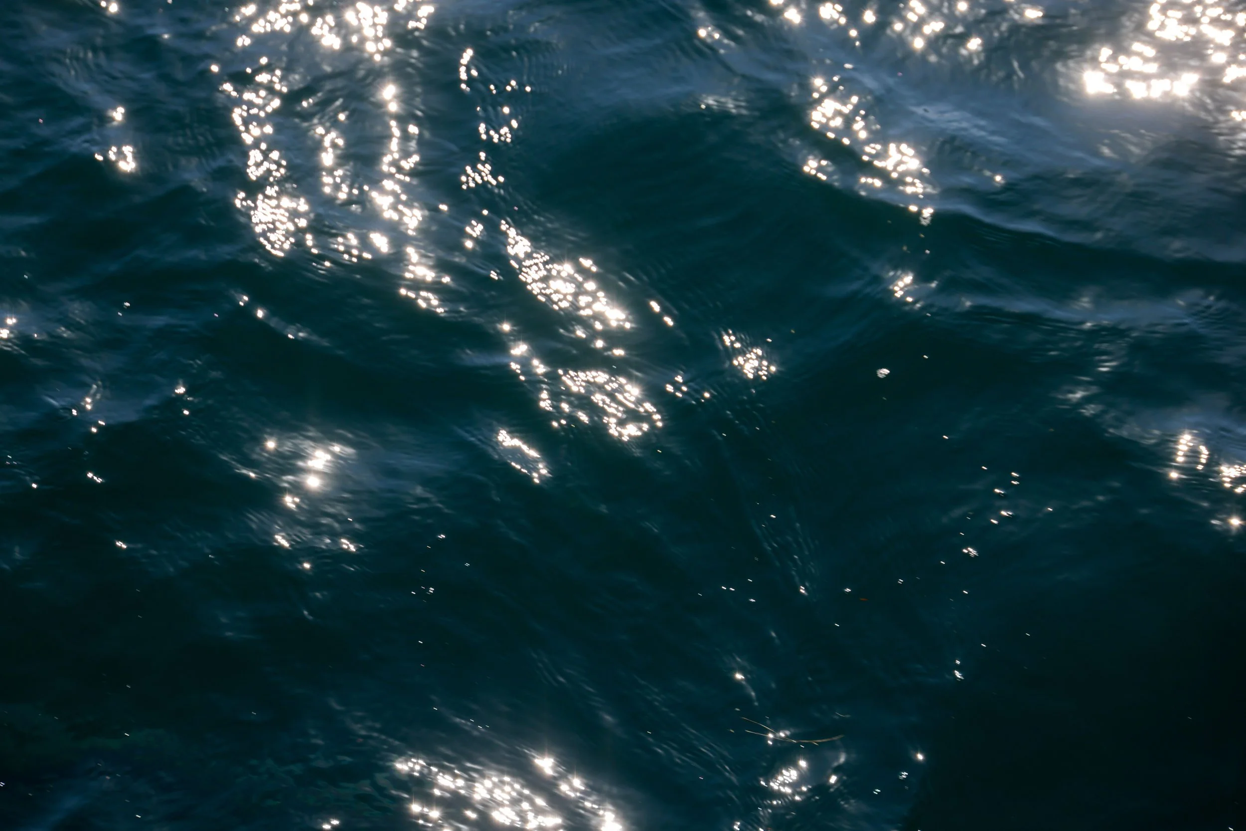 Het Water element: Nieren, Blaas &amp; wilskracht