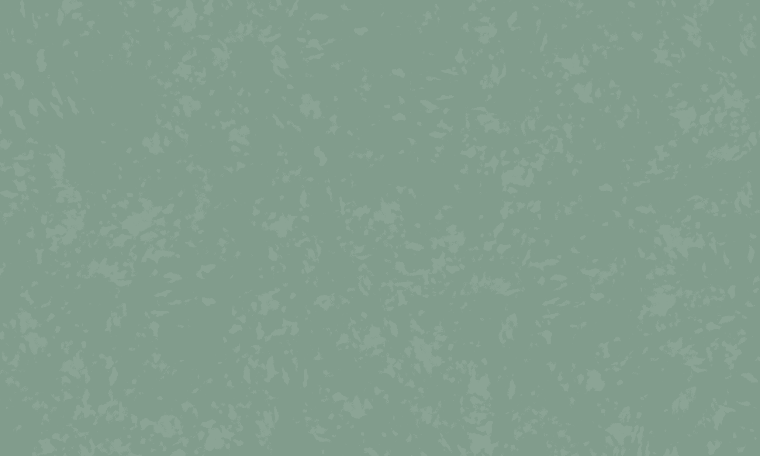 LMFF website background.png