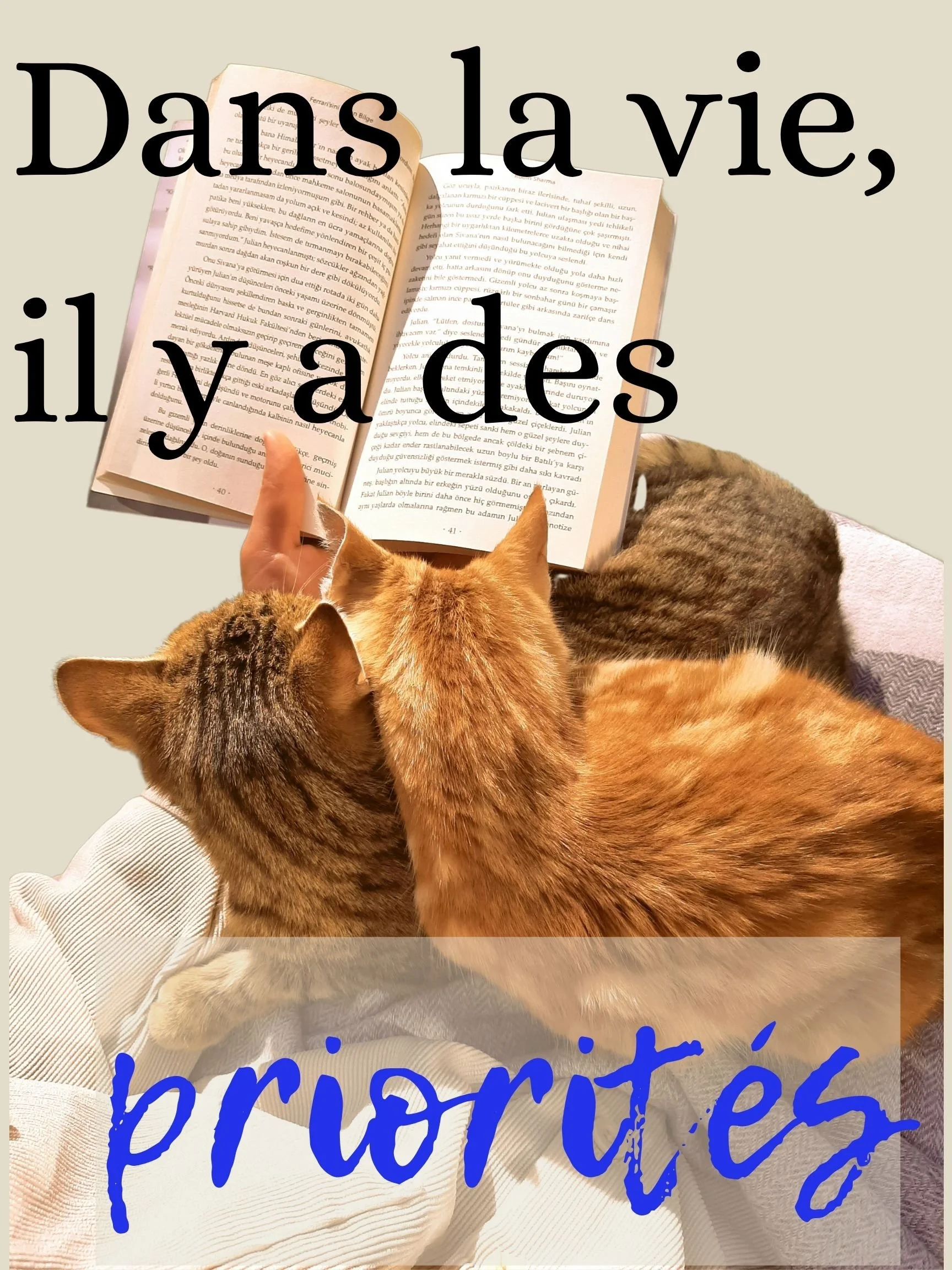 On voit une personne qui lit avec 2 chats sur ses jambes. il est écrit : Dans la vie, il y a des priorités