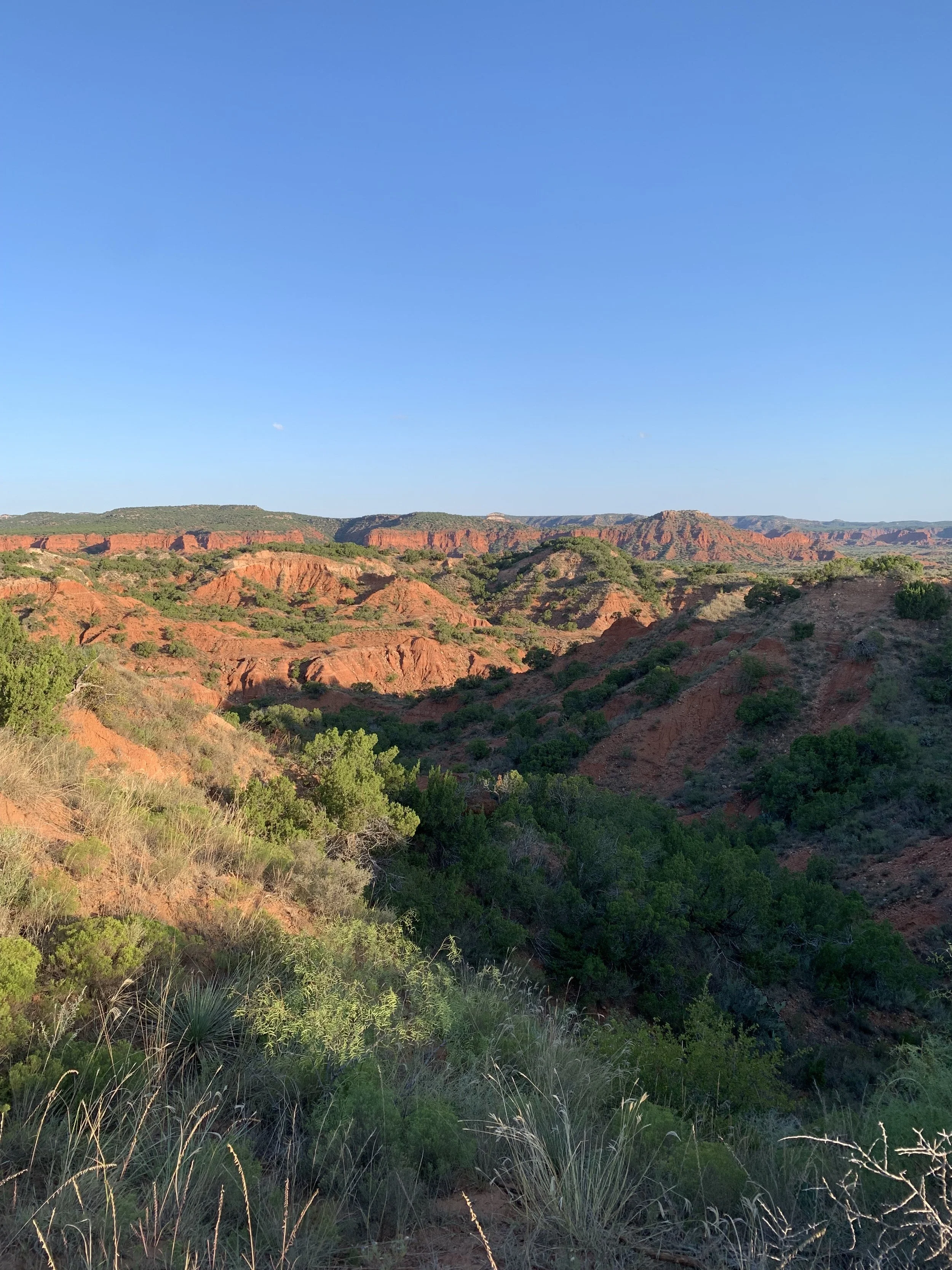 The Discipline of Fluidity