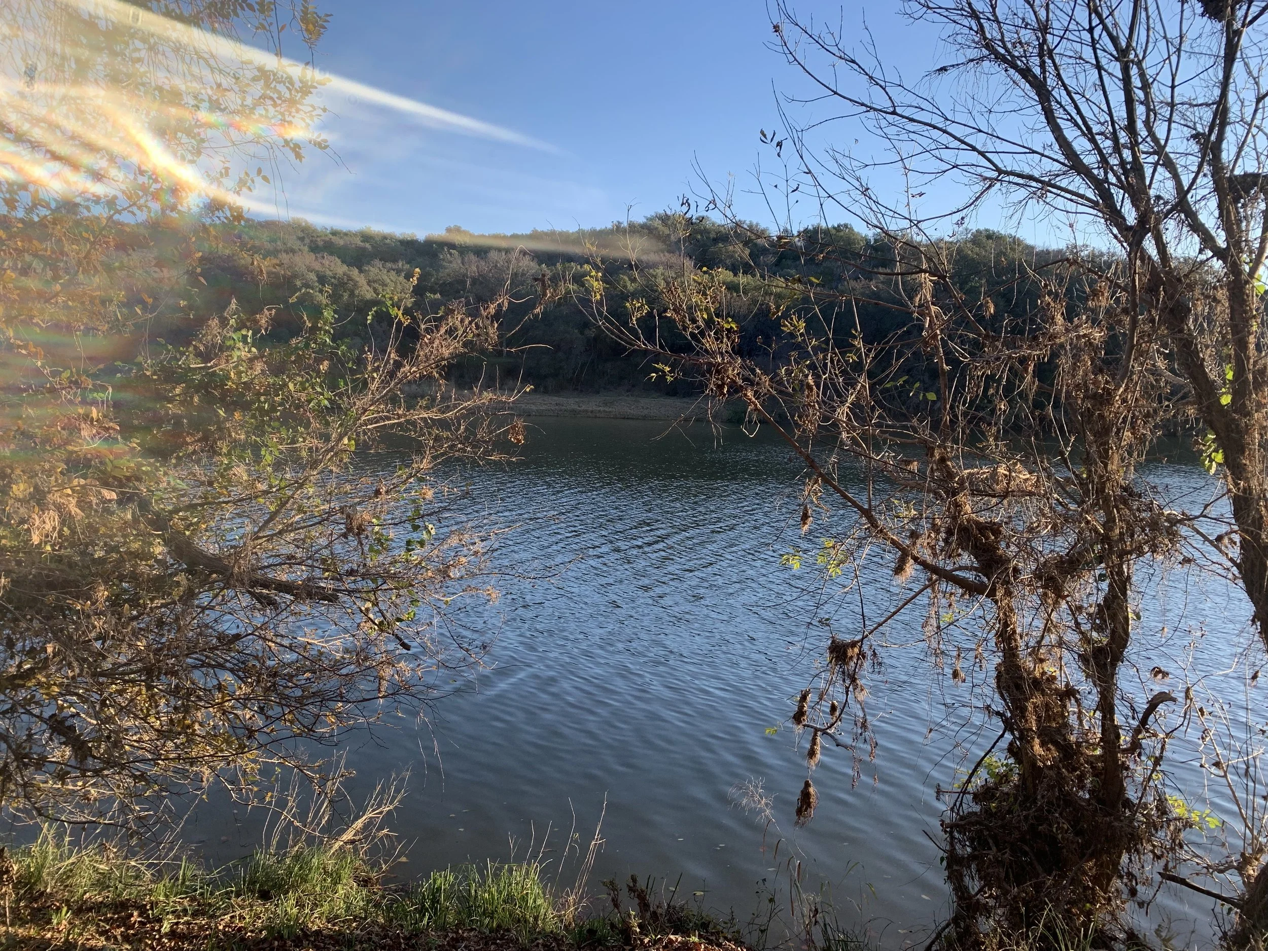 The Edge of Solitude