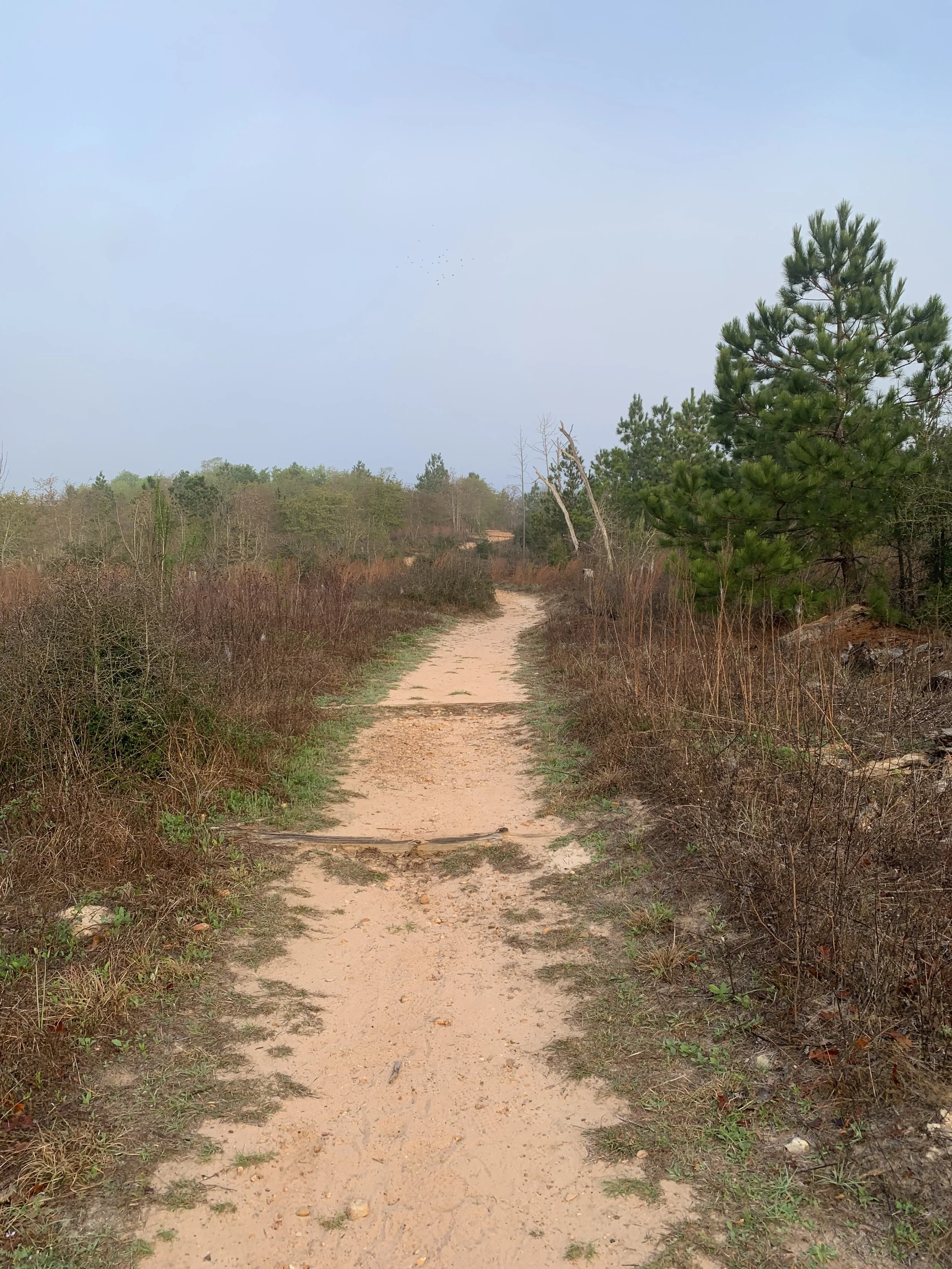 The Path Ahead