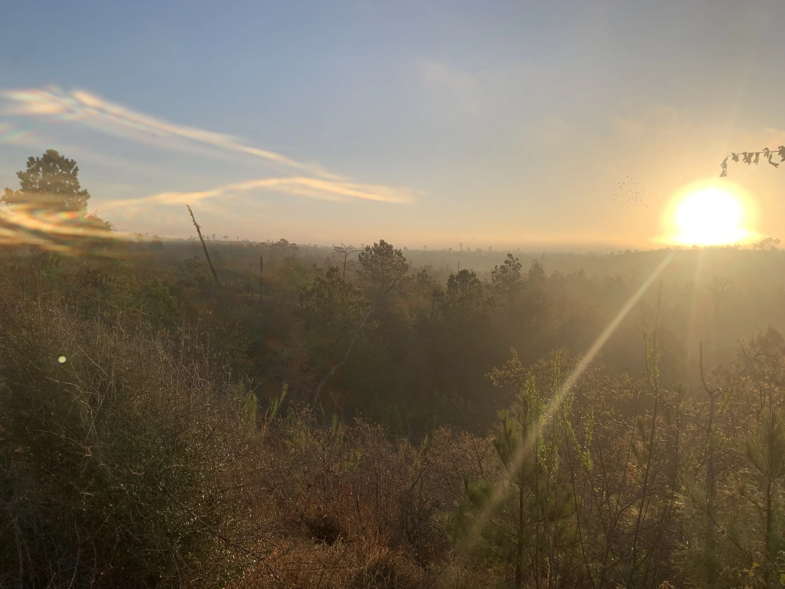 Calm in the Fire