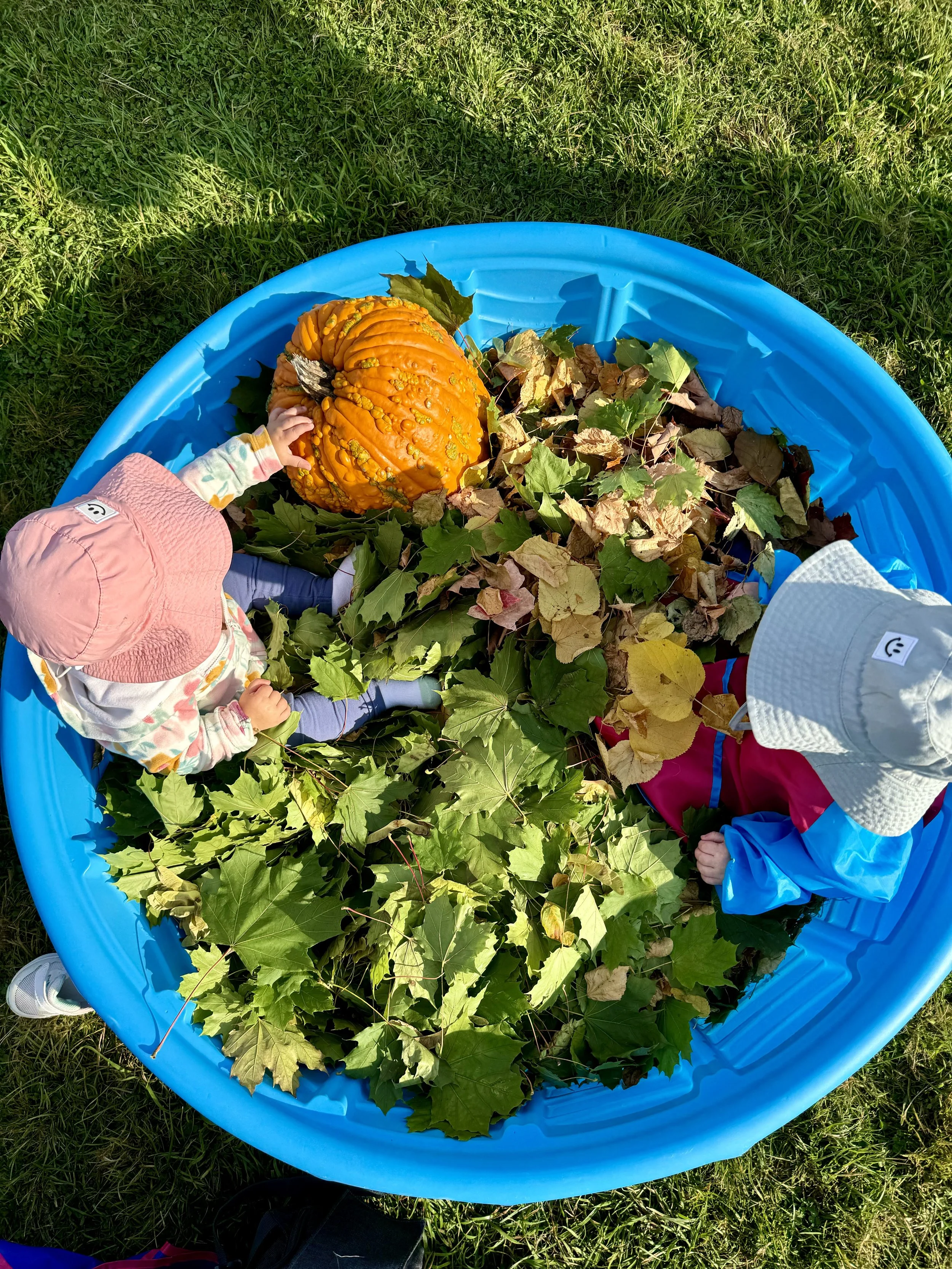 Two children wearing sun hats sitting in a small blue pool filled with green and brown autumn leaves, with one child reaching towards an orange pumpkin.