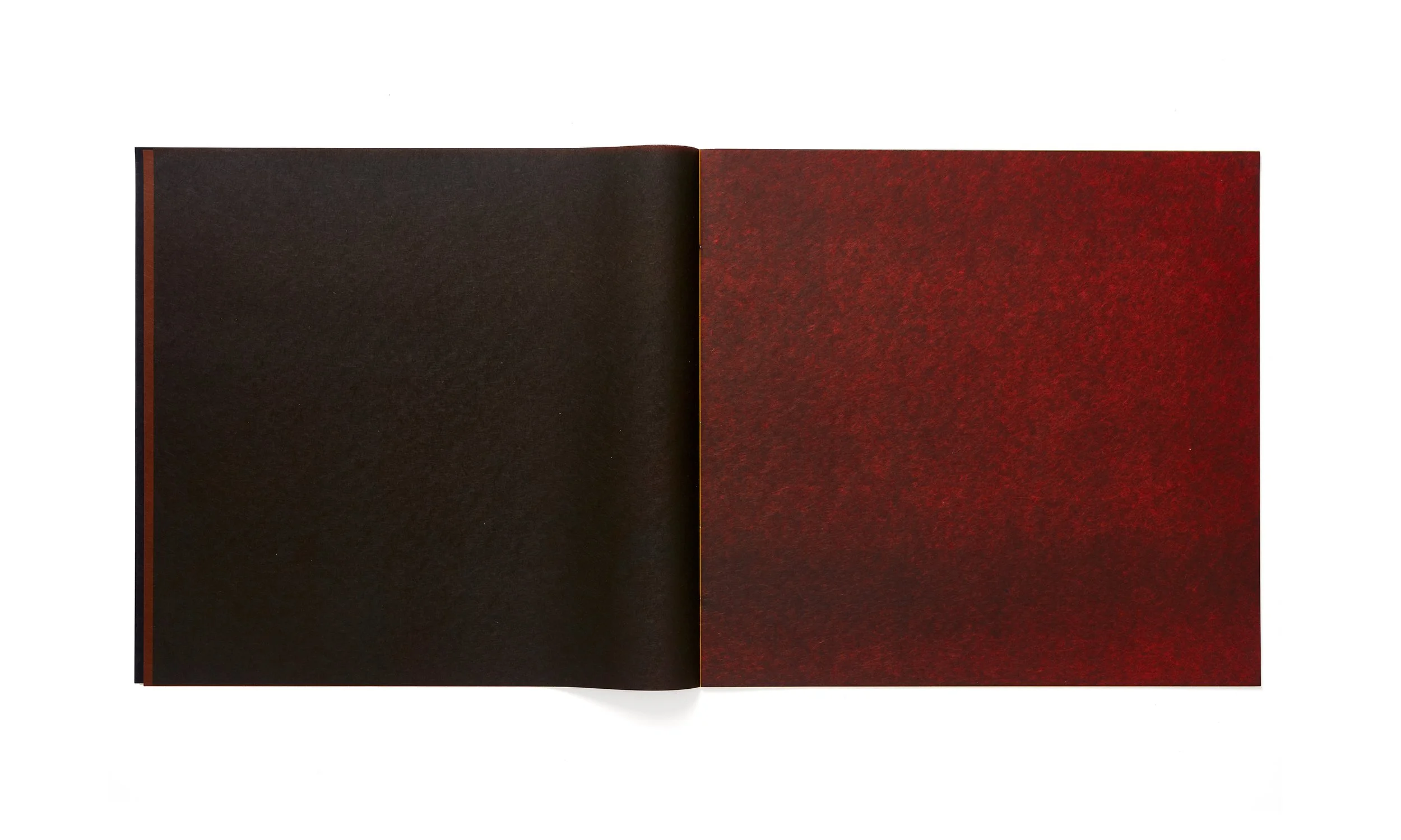 Libro_de_Colores_I_Image_4_edited.jpg