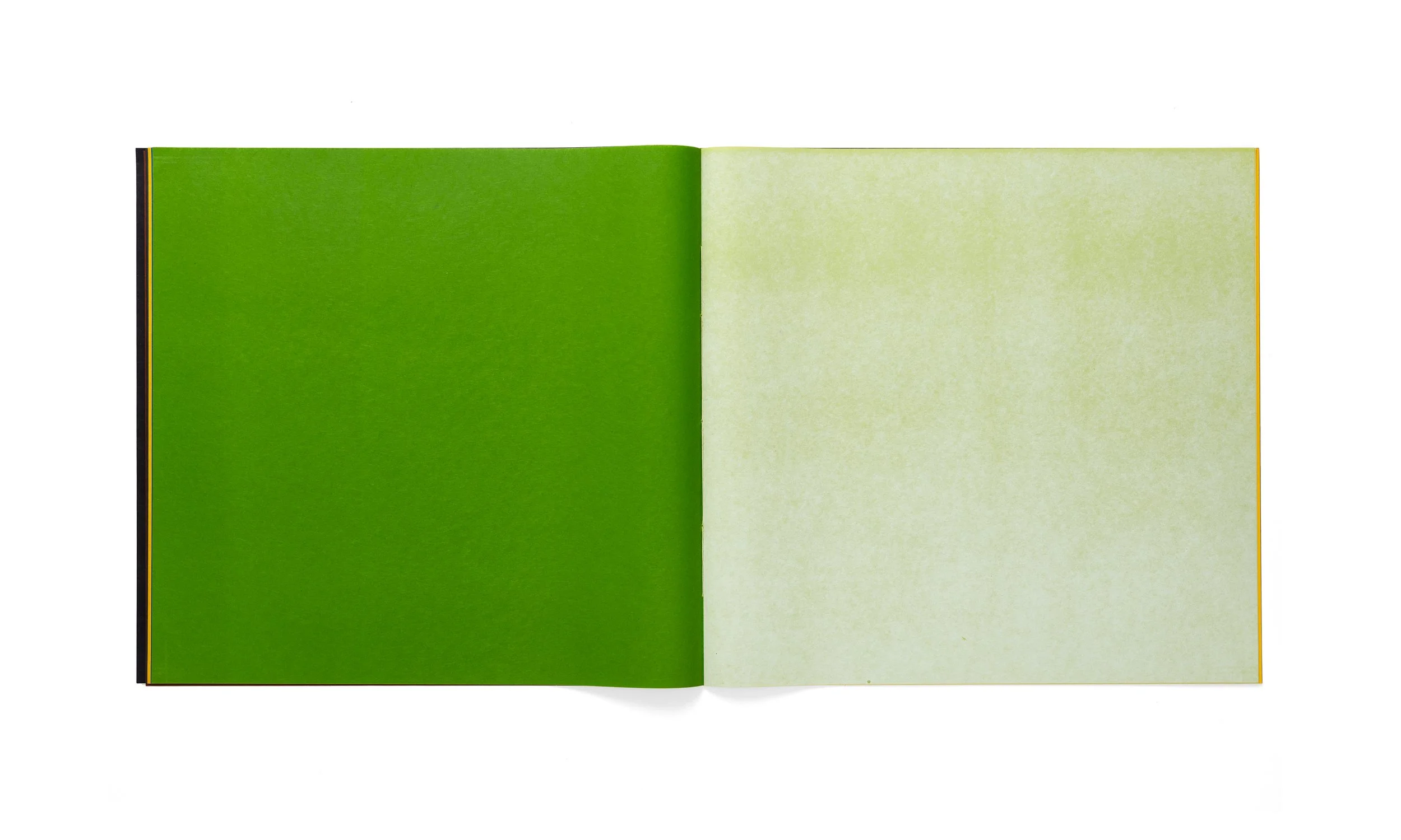 Libro_de_Colores_I_Image_9_edited.jpg