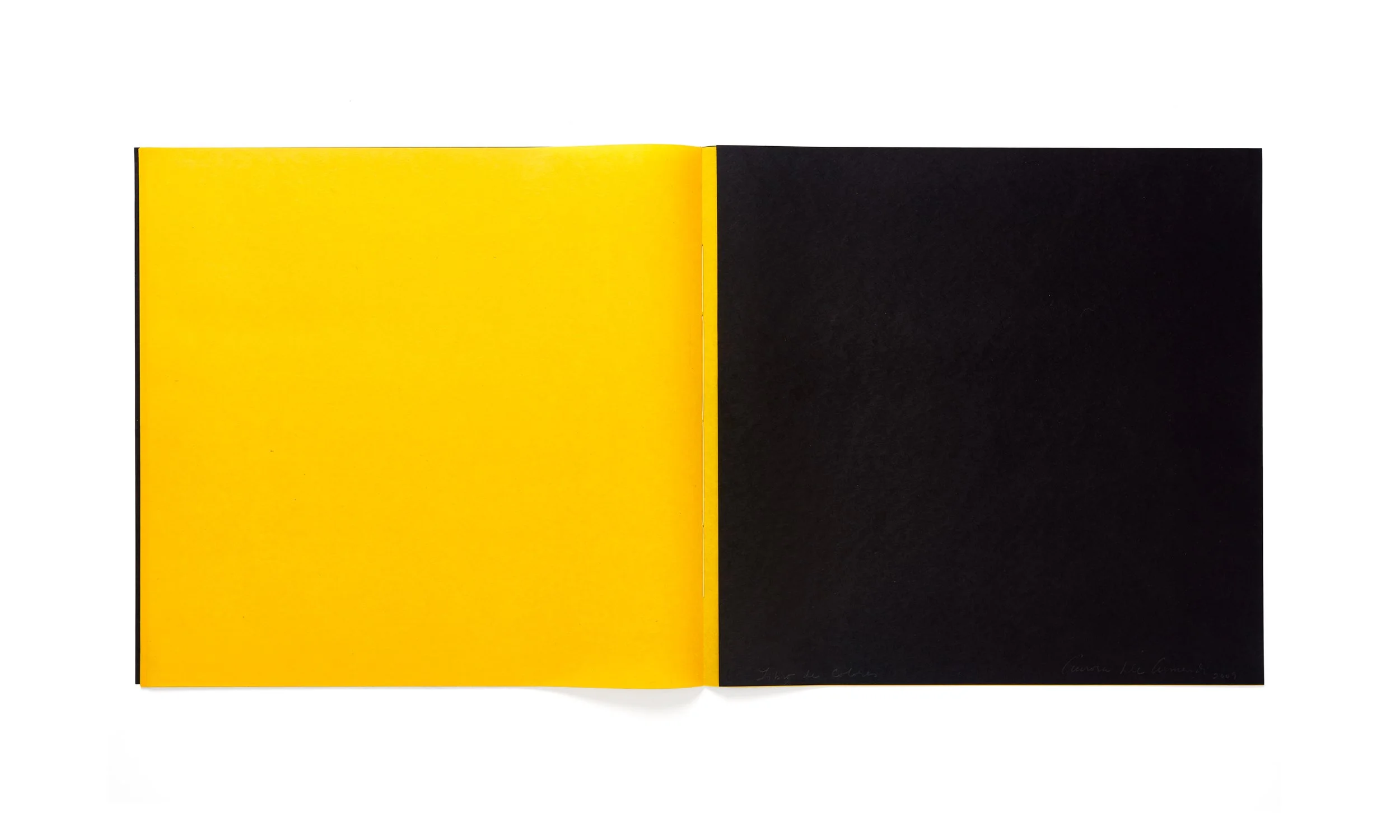 Libro_de_Colores_I_Image_19_edited.jpg