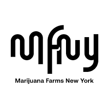 MFNY cannabis brand logo. Marijuana Farms New York Cannabis Brand logo
