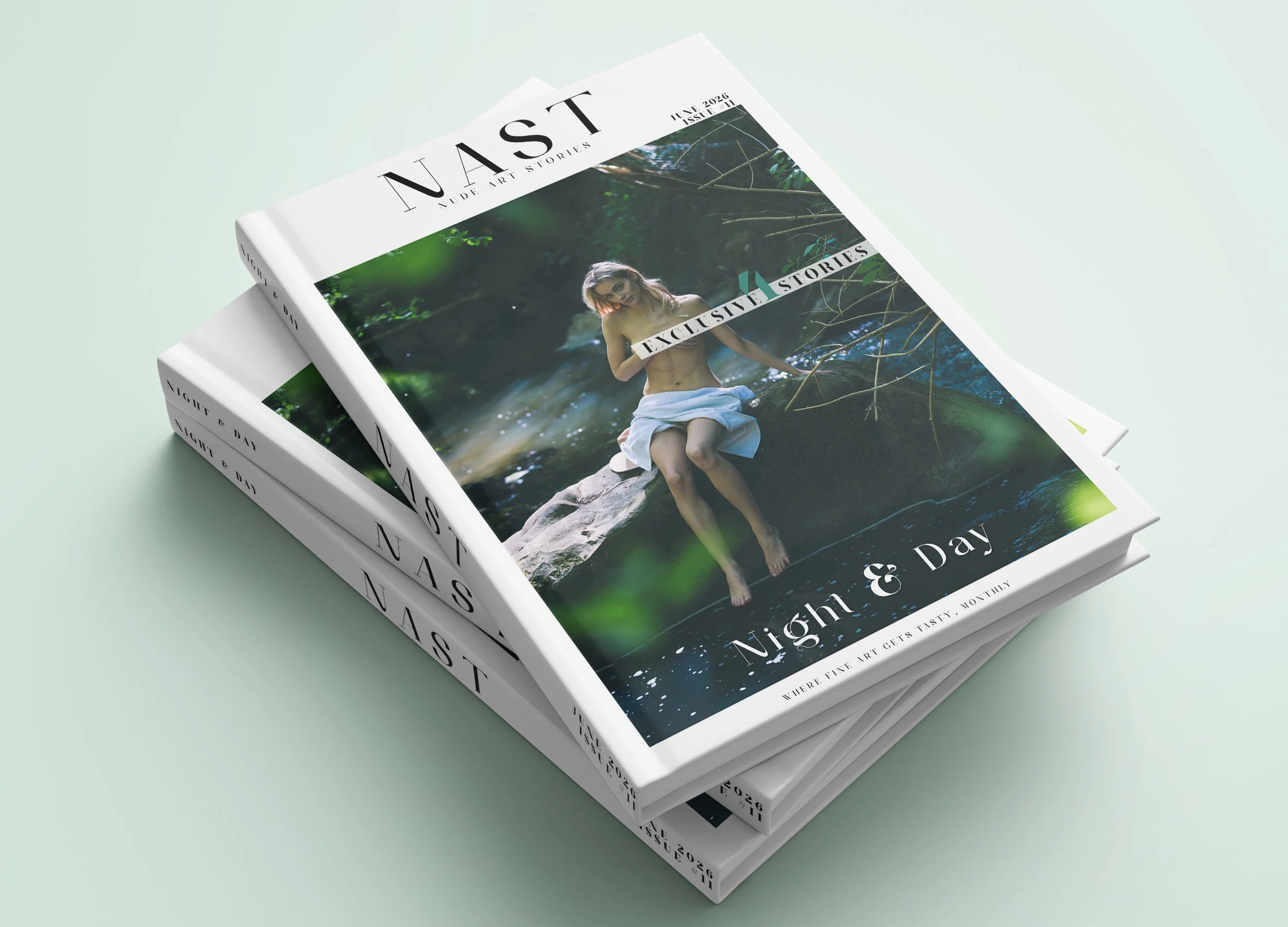 Book_Mockup_nast11 2.jpg