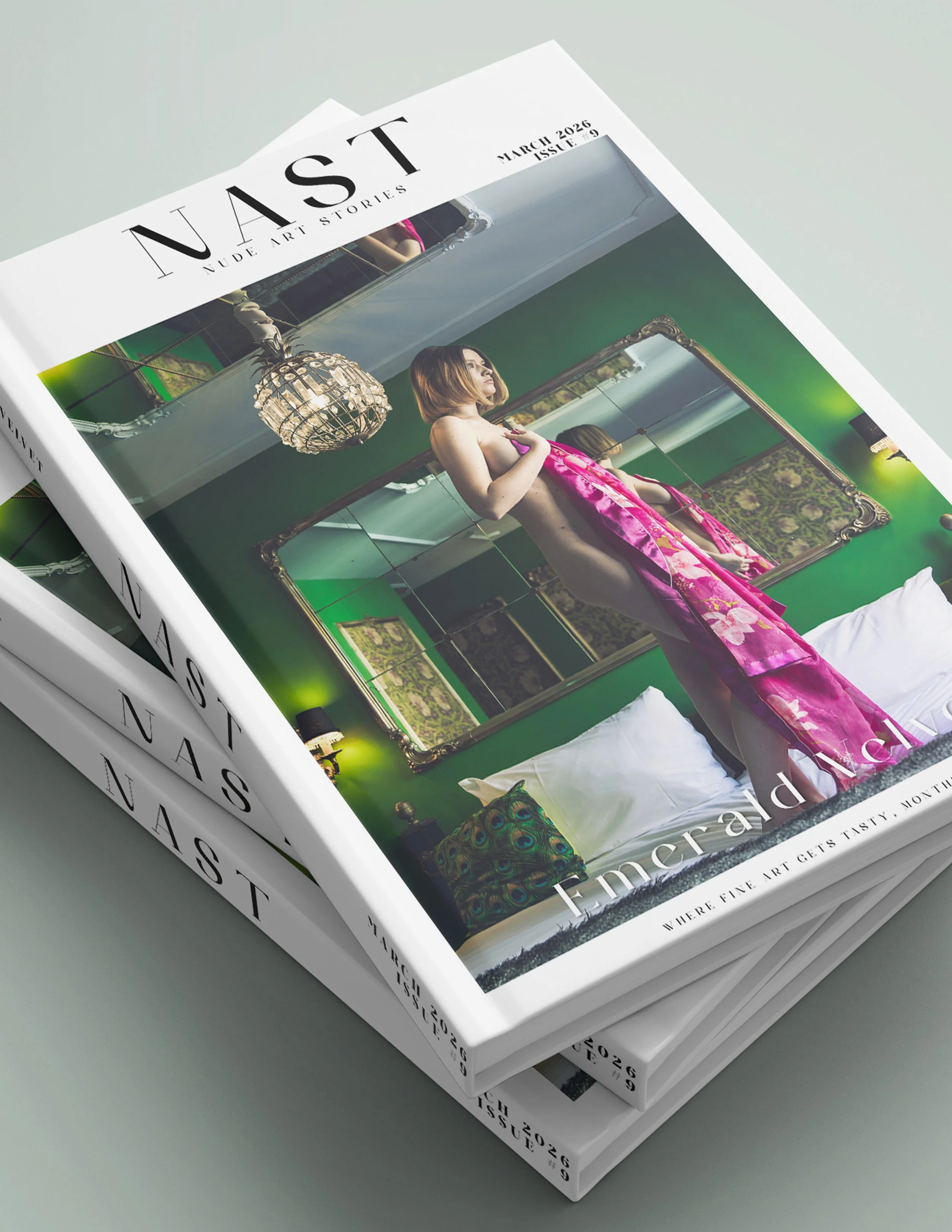 Nast9 book mockup.jpg