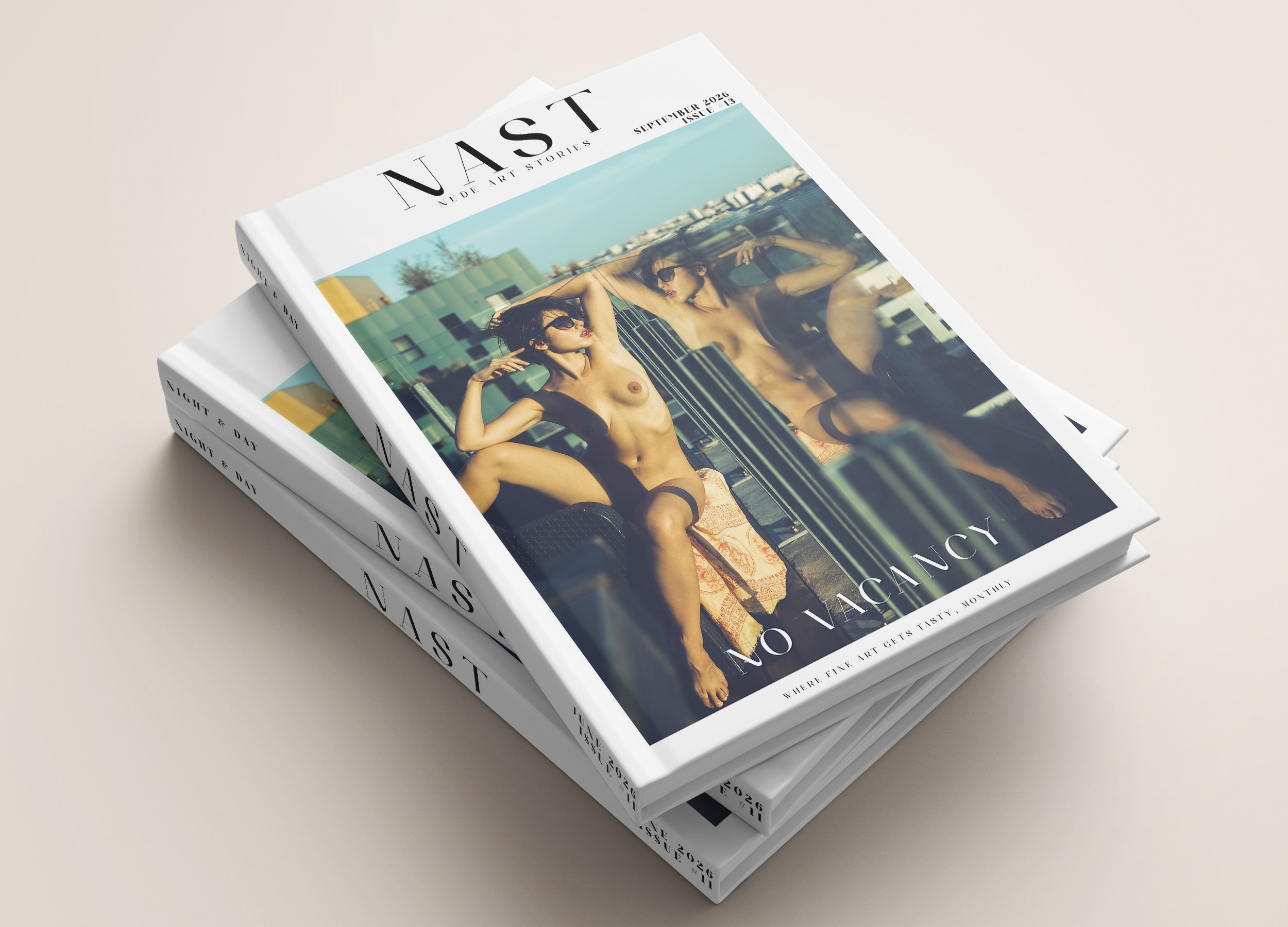 nast13 hardcover.jpg