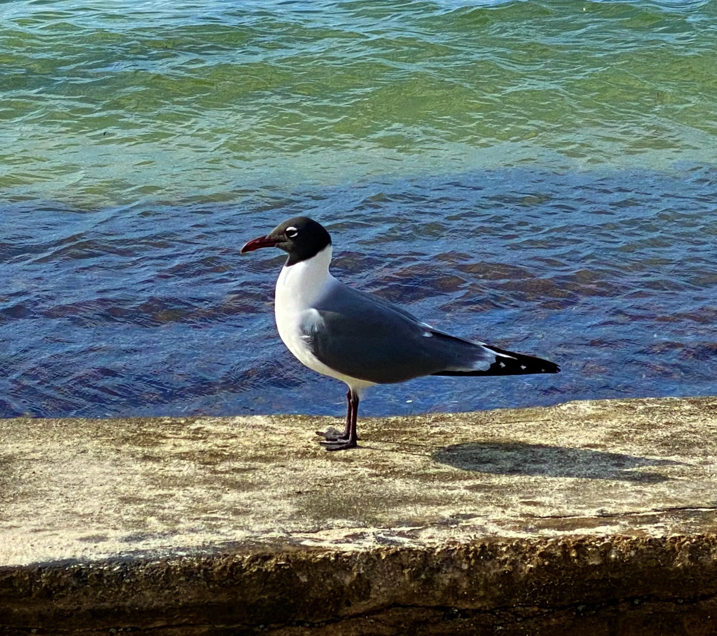 23 IMG_4340.jpeg