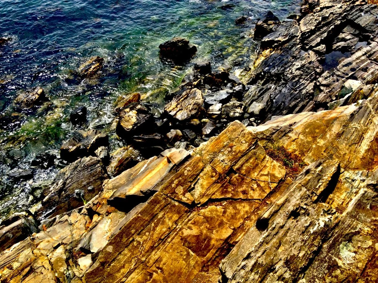 Close-up of rocky shoreline with clear water and various sized stones.