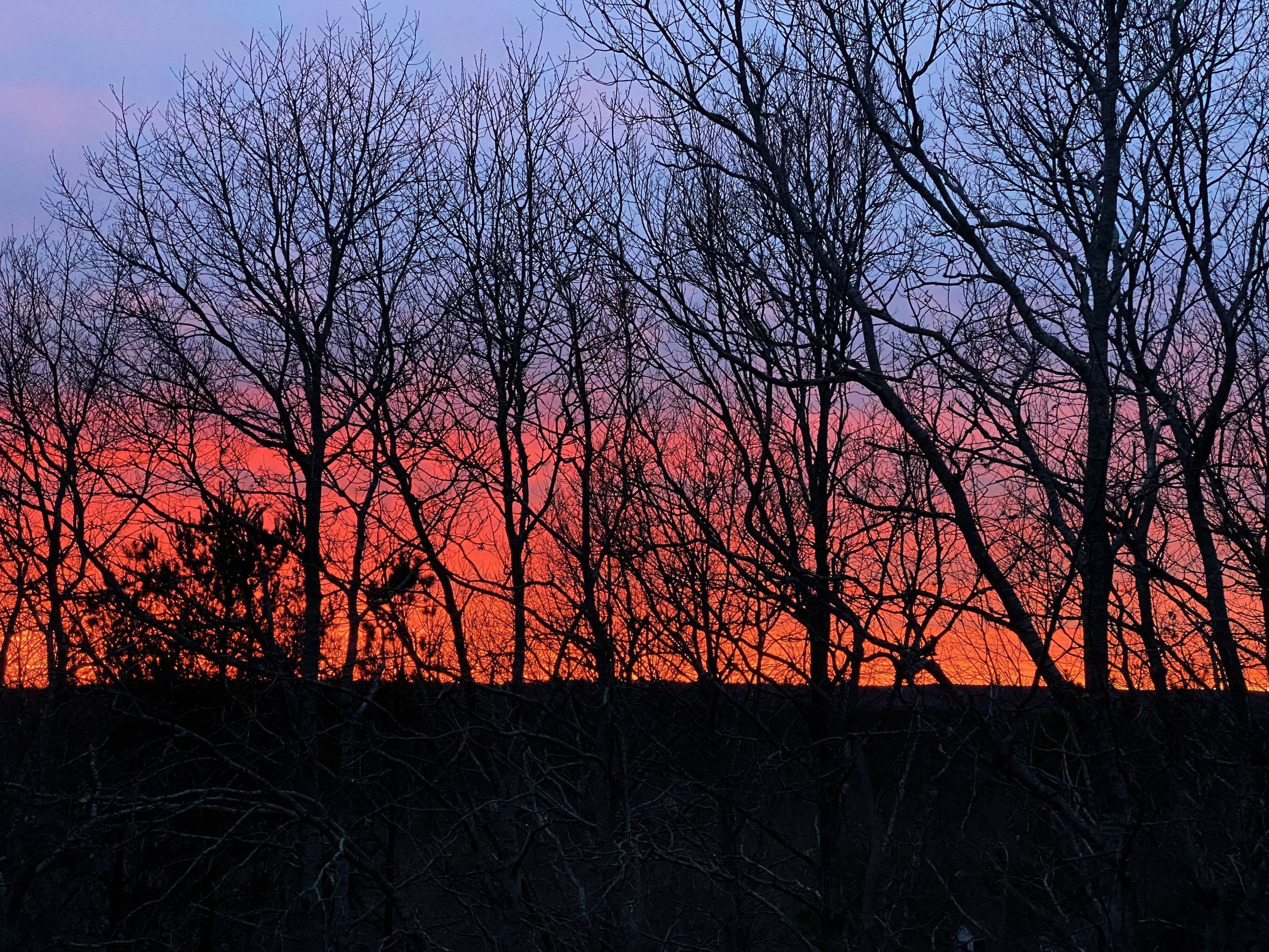 26 Winter Sunset.jpeg