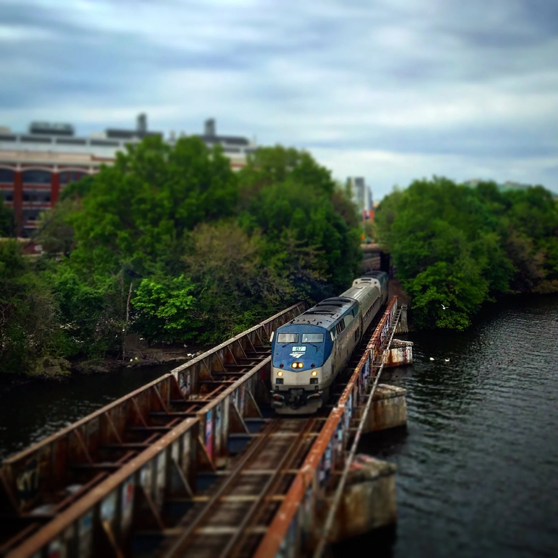 A train with a blue front traveling on a bridge over water, surrounded by green trees and buildings in the background under a cloudy sky.
