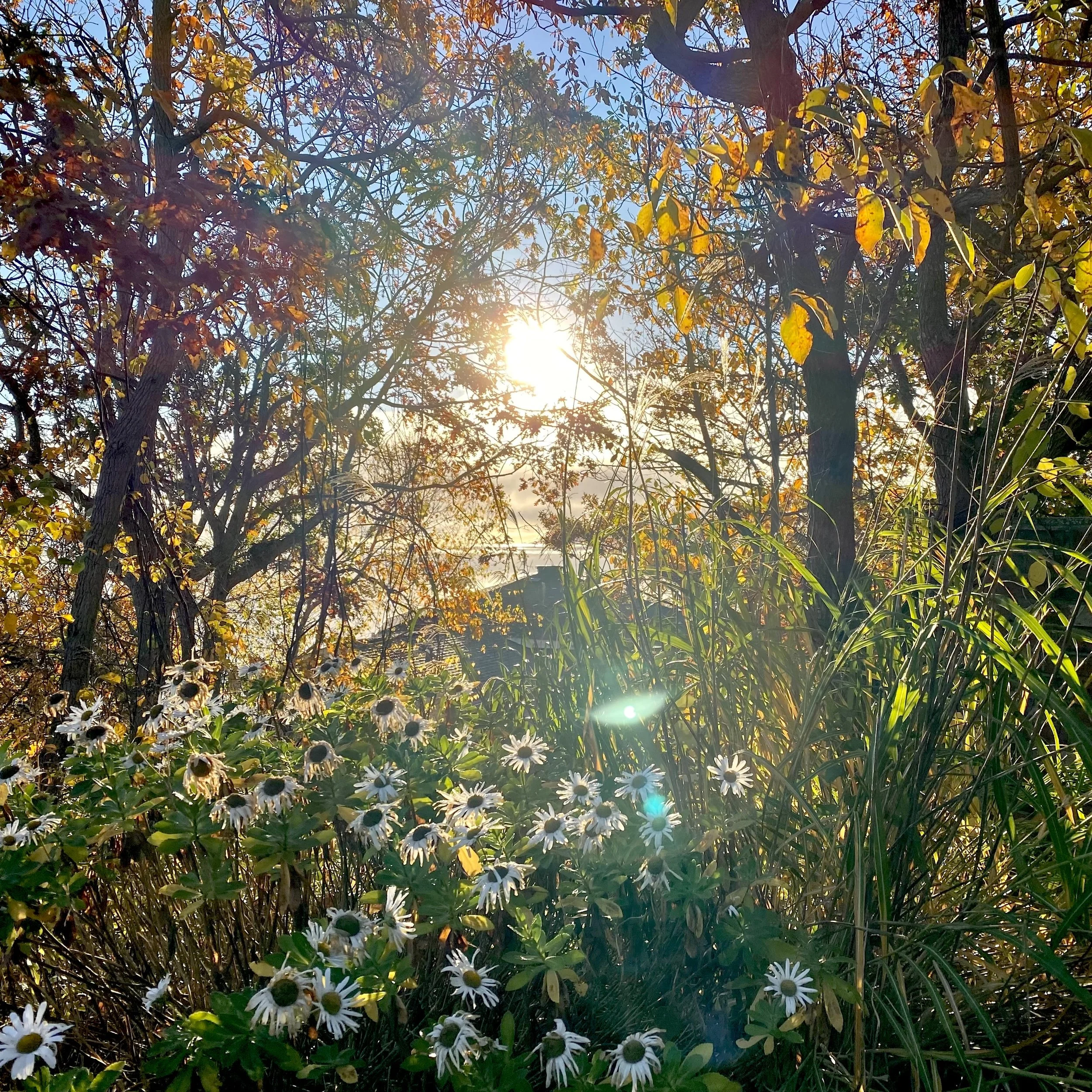IMG_4532.jpeg