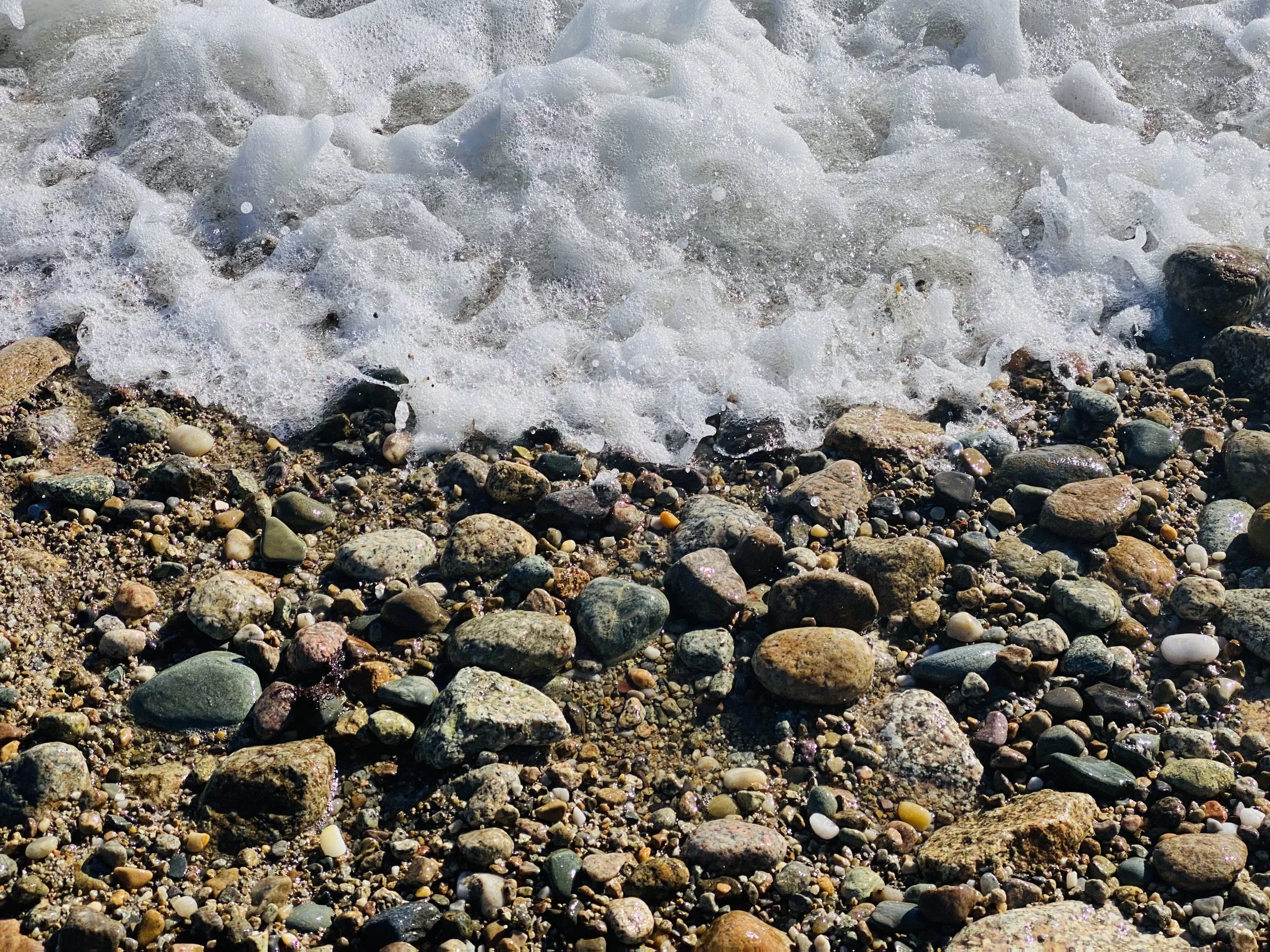 25 Shore.jpeg