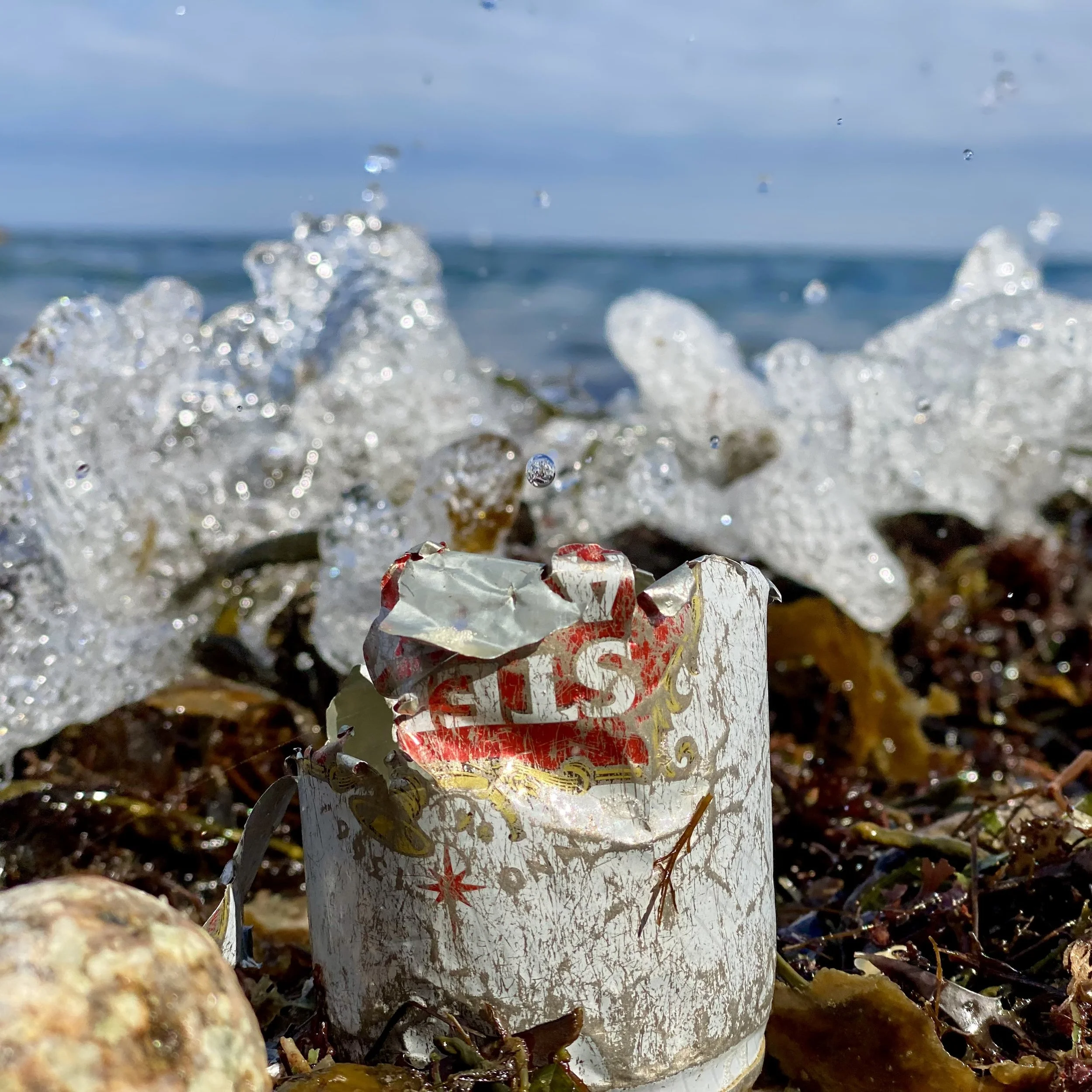 1 can on shore 1.jpeg