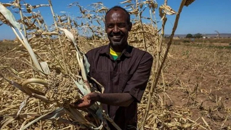 WhatsApp Image 2025-07-30 at 12.32.38.jpeg