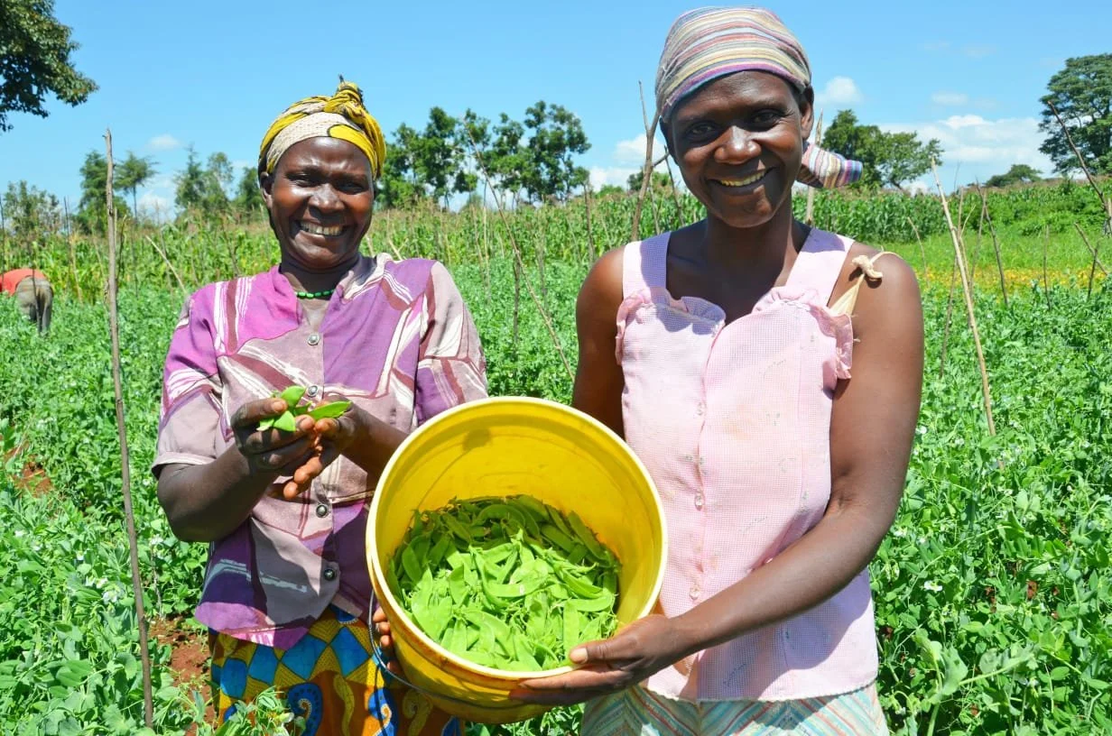 WhatsApp Image 2025-07-28 at 11.44.48.jpeg