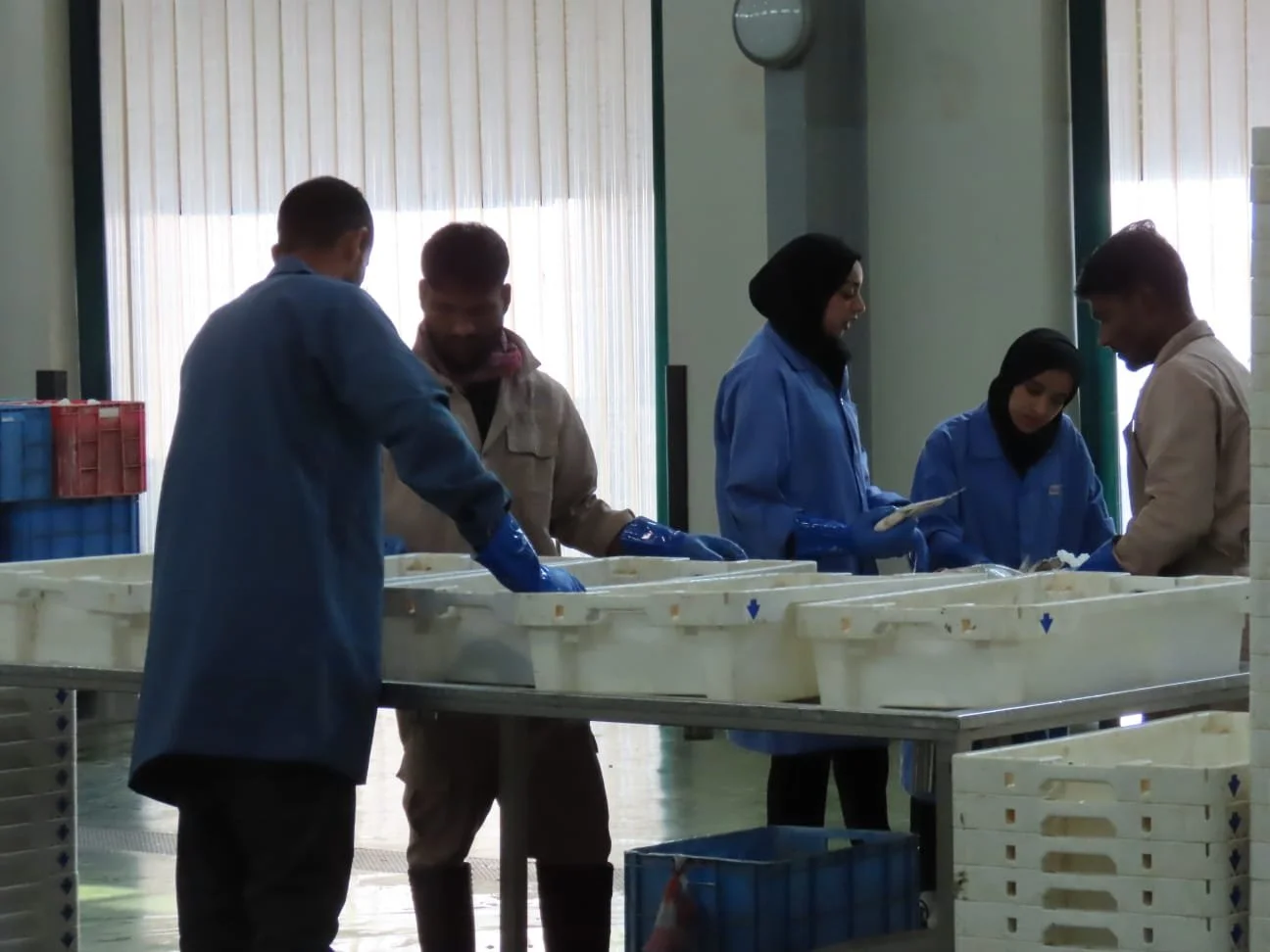 WhatsApp Image 2025-07-30 at 15.05.20.jpeg