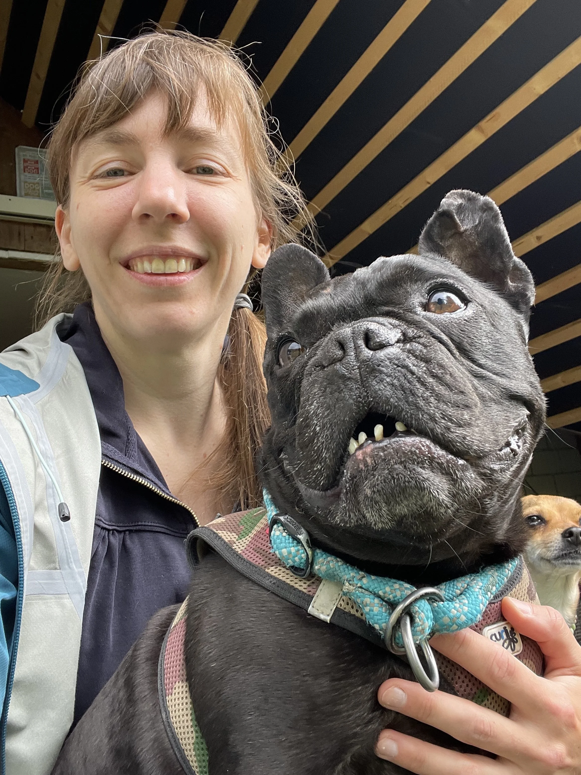 Ein Mädchen mit braunen Haaren, das lächelnd ein schwarzer französischer Bulldog trägt, im Hintergrund ein brauner Hund, beide in einem Raum mit schwarzem Deckenboden mit Holzbalken.