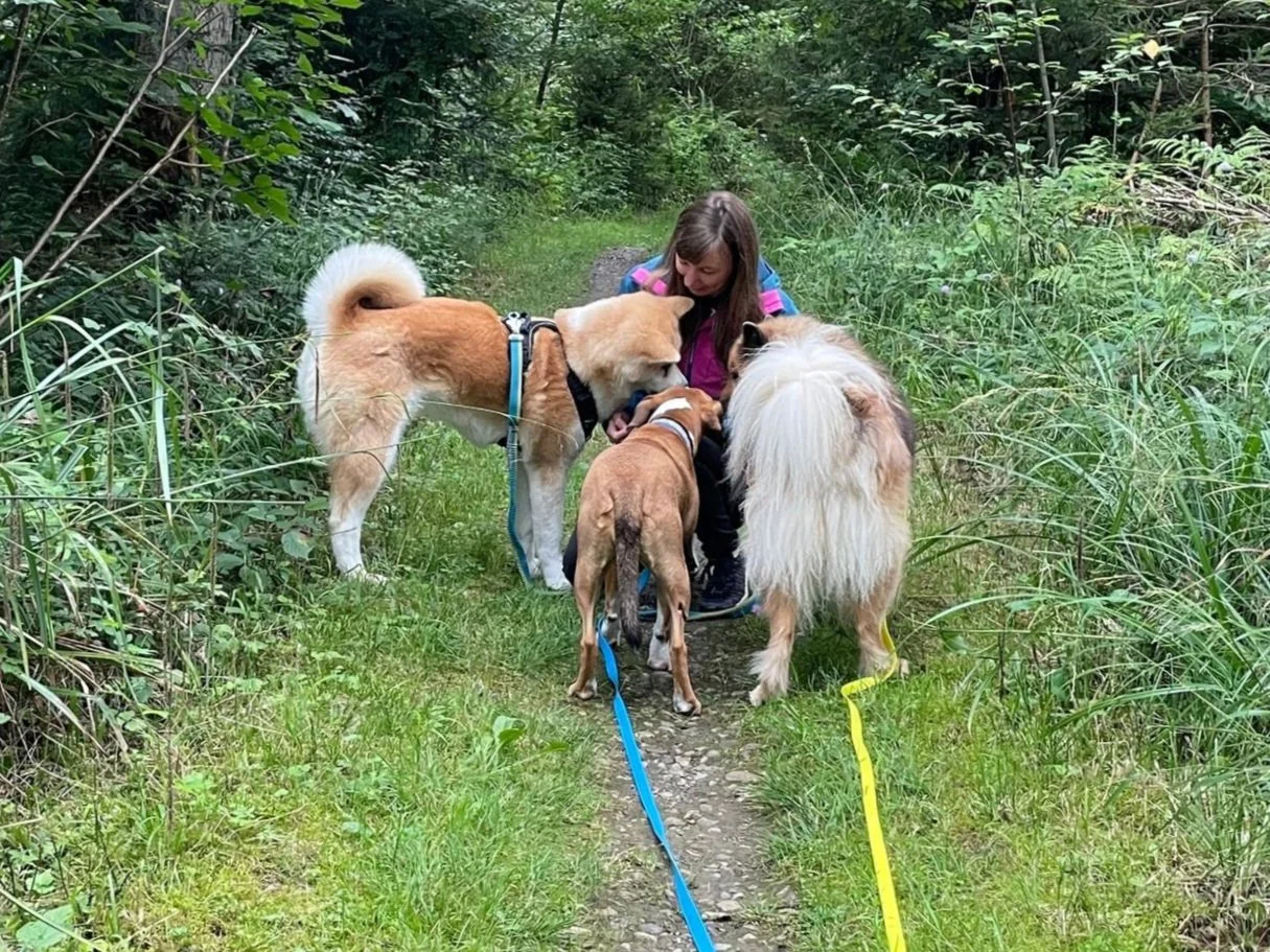 Eine Frau mit vier Hunden, die zusammen auf einem Waldweg in der Natur stehen.