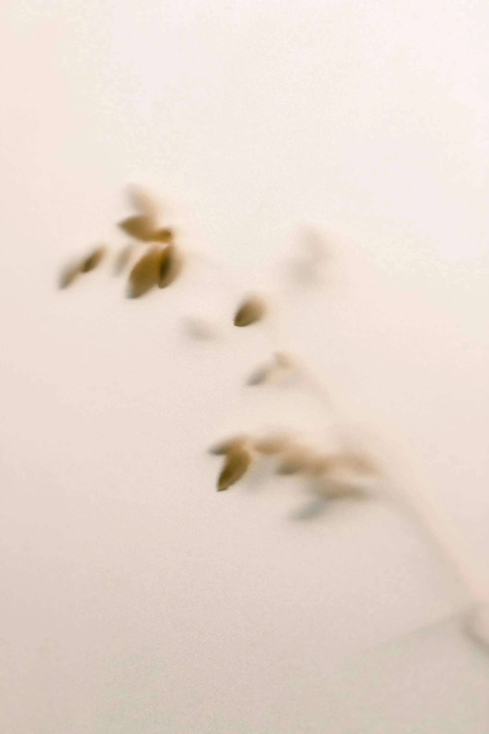 Close-up of small, blurred objects possibly seeds or grains on a light surface.