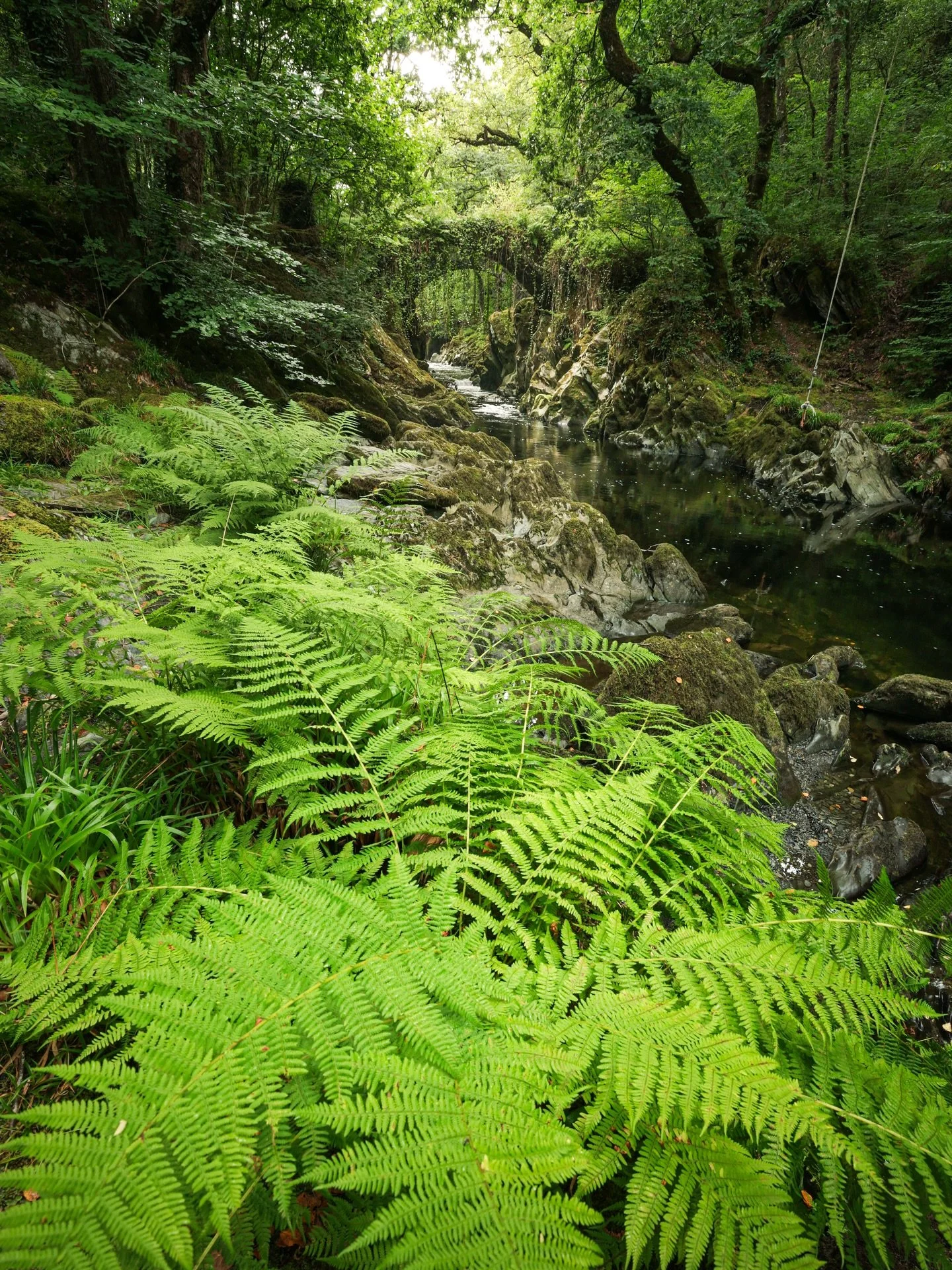 I&rsquo;ve been meaning to visit this bridge for quite a while now. I originally photographed it back in 2023, but ever since my new 16-35mm lens arrived I knew that I had to give it another go! This bridge is most commonly photographed in Autumn but