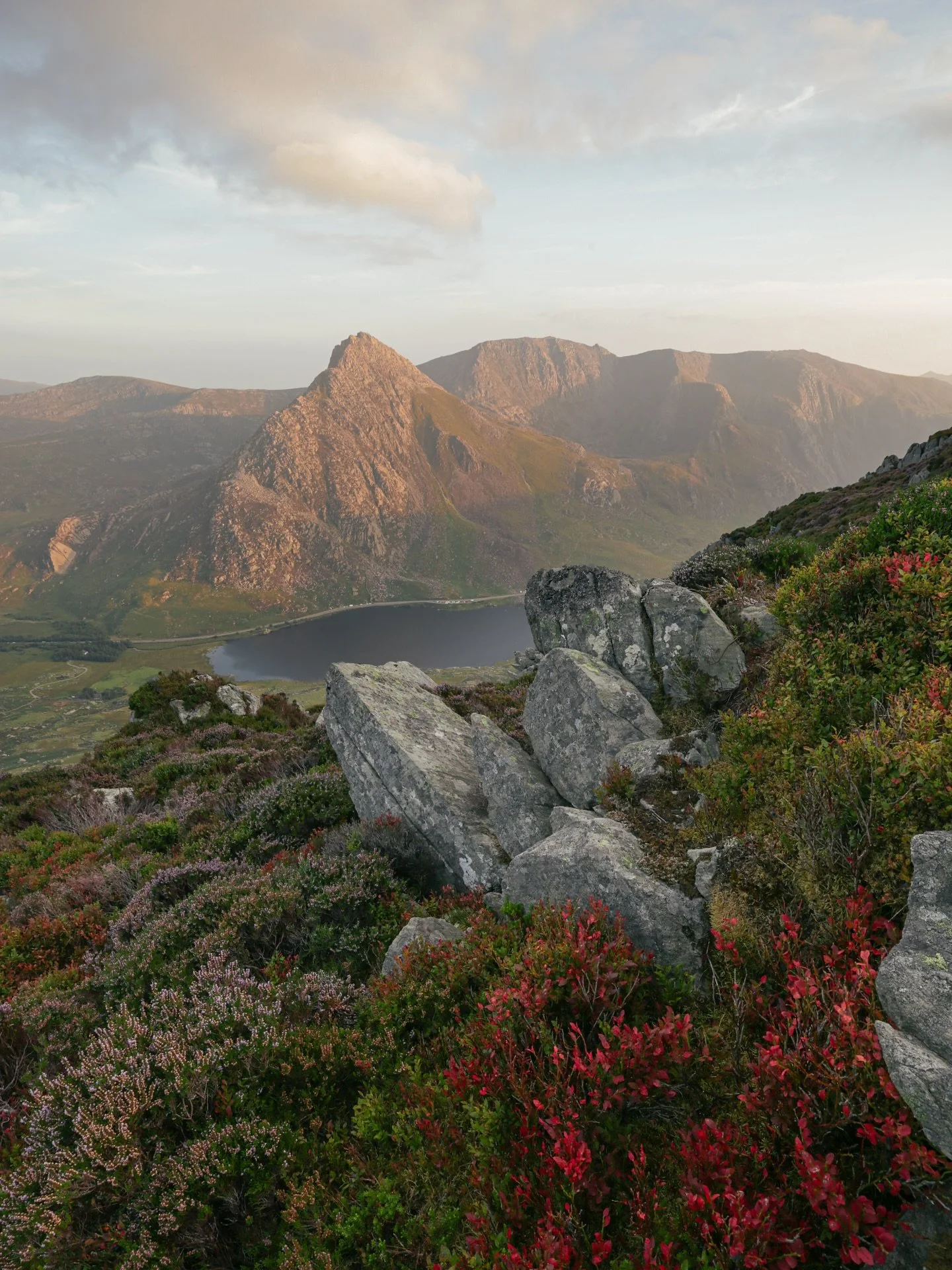 This had to be up there with one of the best mountain days I&rsquo;ve had so far. Although the heat was difficult to walk in, the peace and amazing views I had up there was brilliant. I&rsquo;ve never had the opportunity to photograph the heather on 
