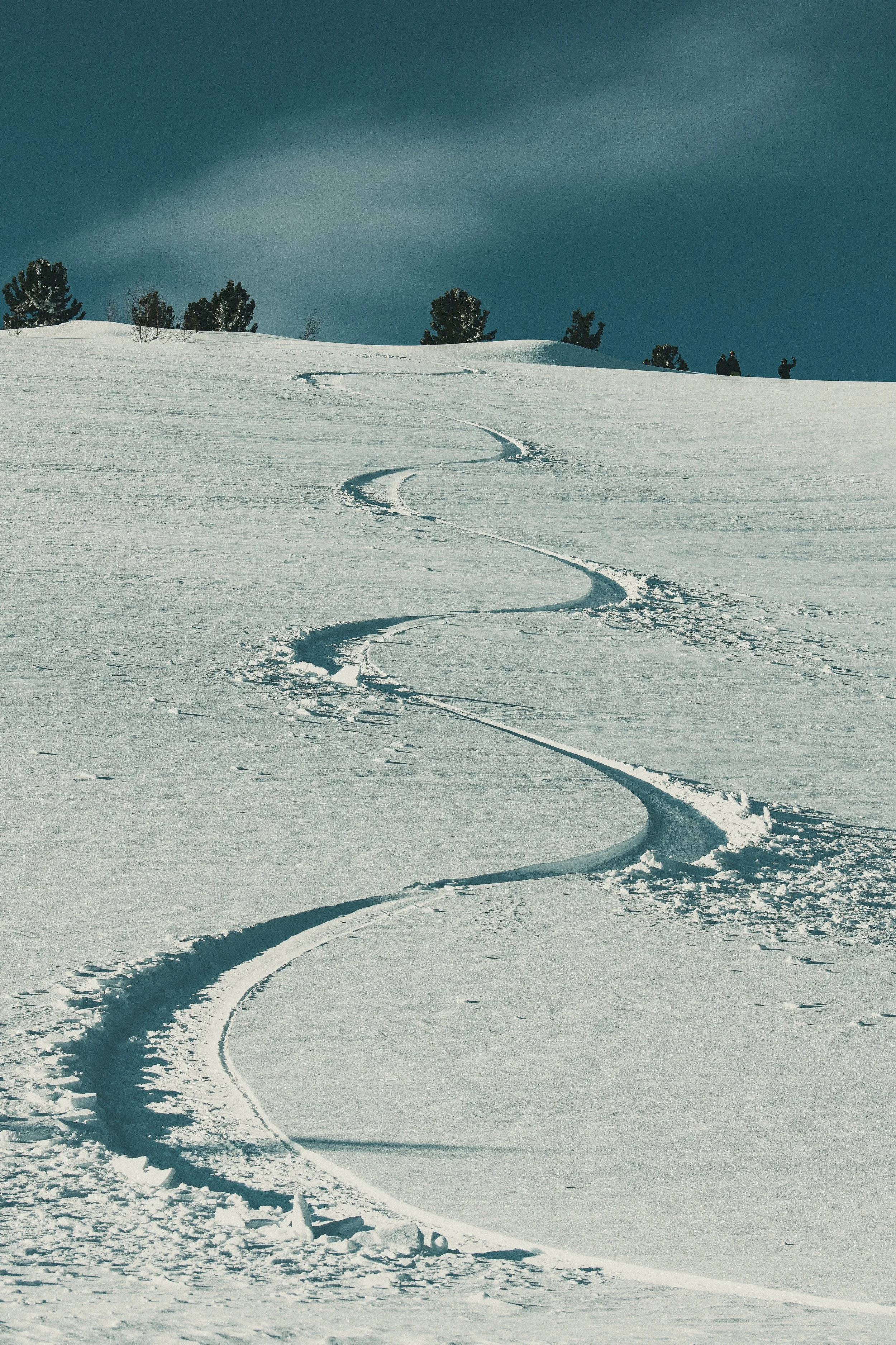 Single surf-style carve track through fresh powder on a mellow slope