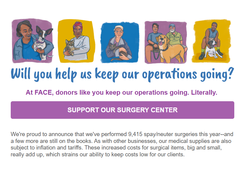 FACE email header with illustrations