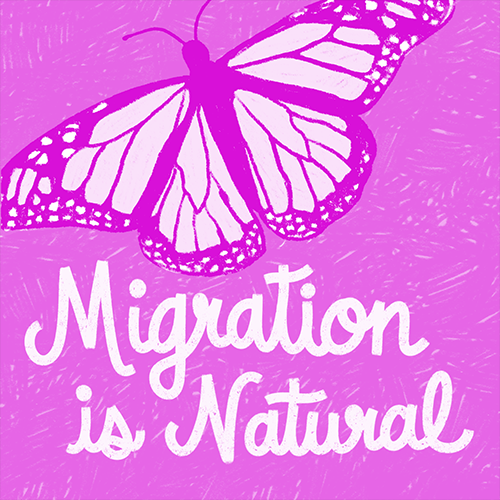 Hand-drawn image of a Monarch butterfly and text Migration is Natural with orchid purple color overlay