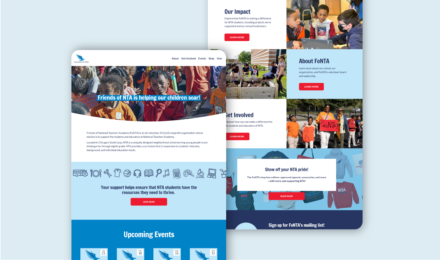 Mockup of friendsofnta.org homepage