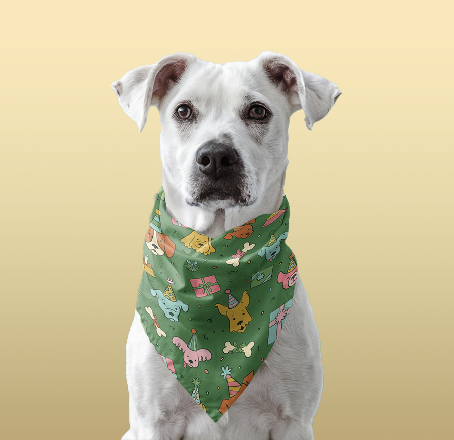 Photo of a white pitbull wearing a bandana with a dark green print and dogs in birthday hats