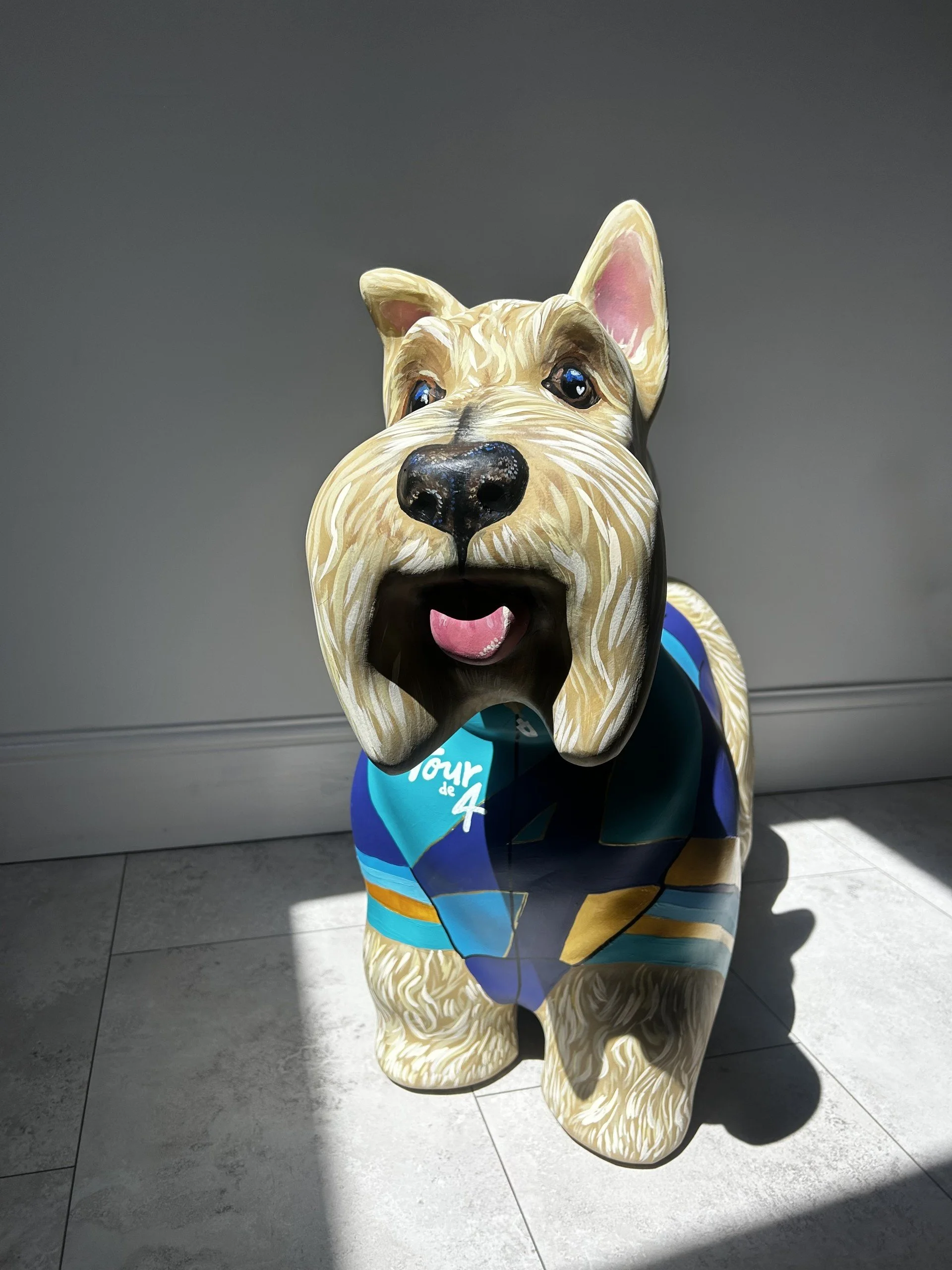 5.jfif
