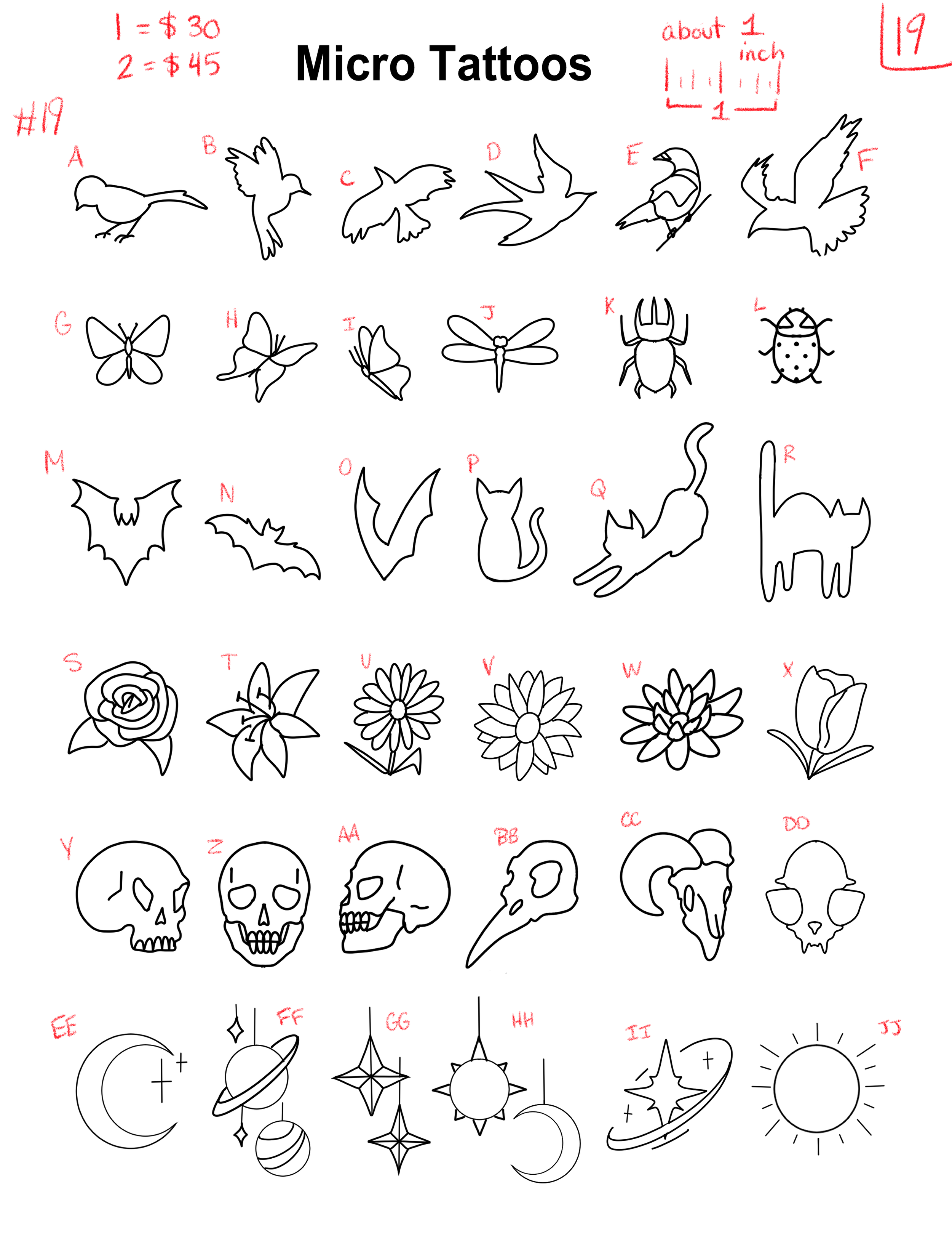 Illustration (2).PNG