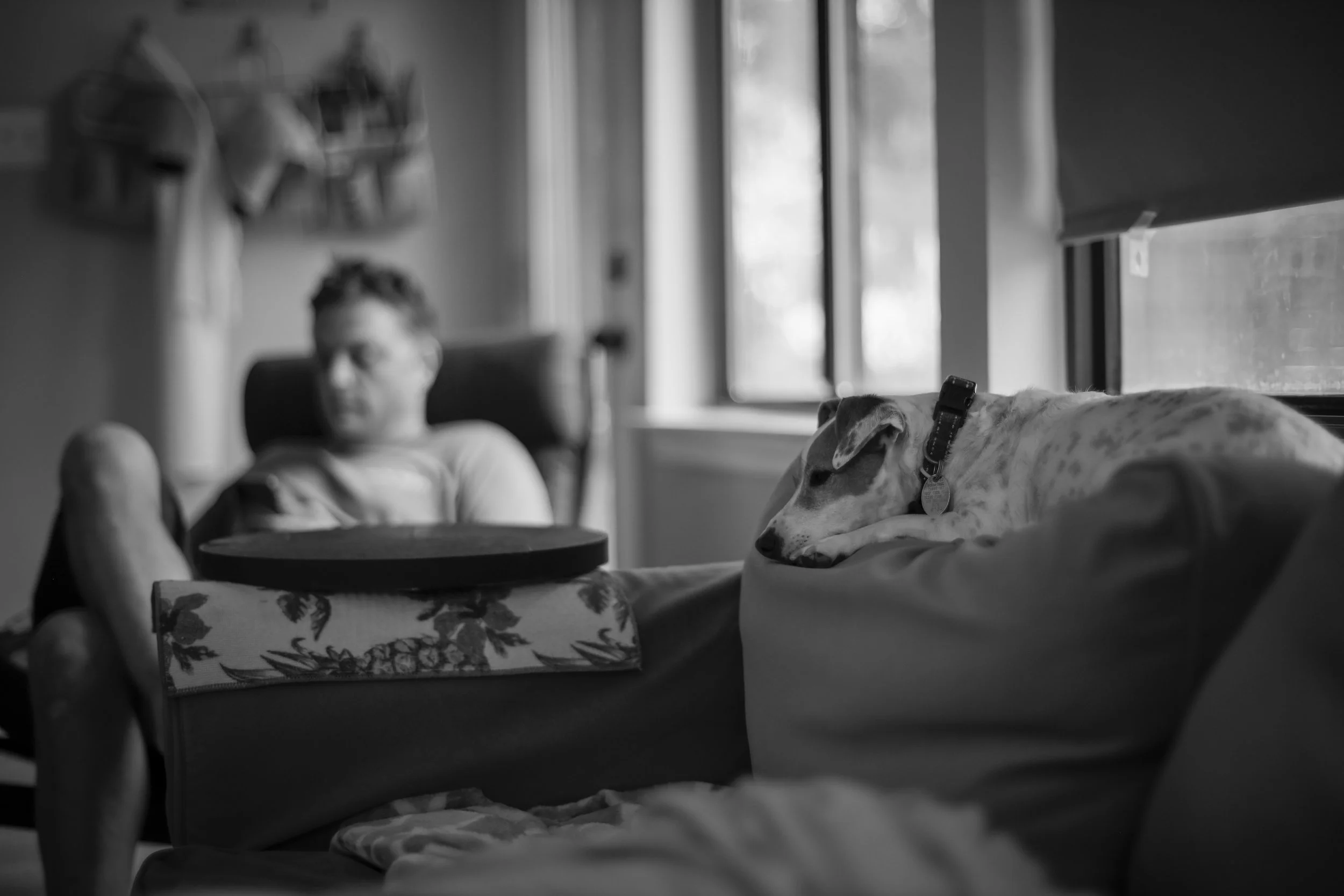 _17A8628.jpg